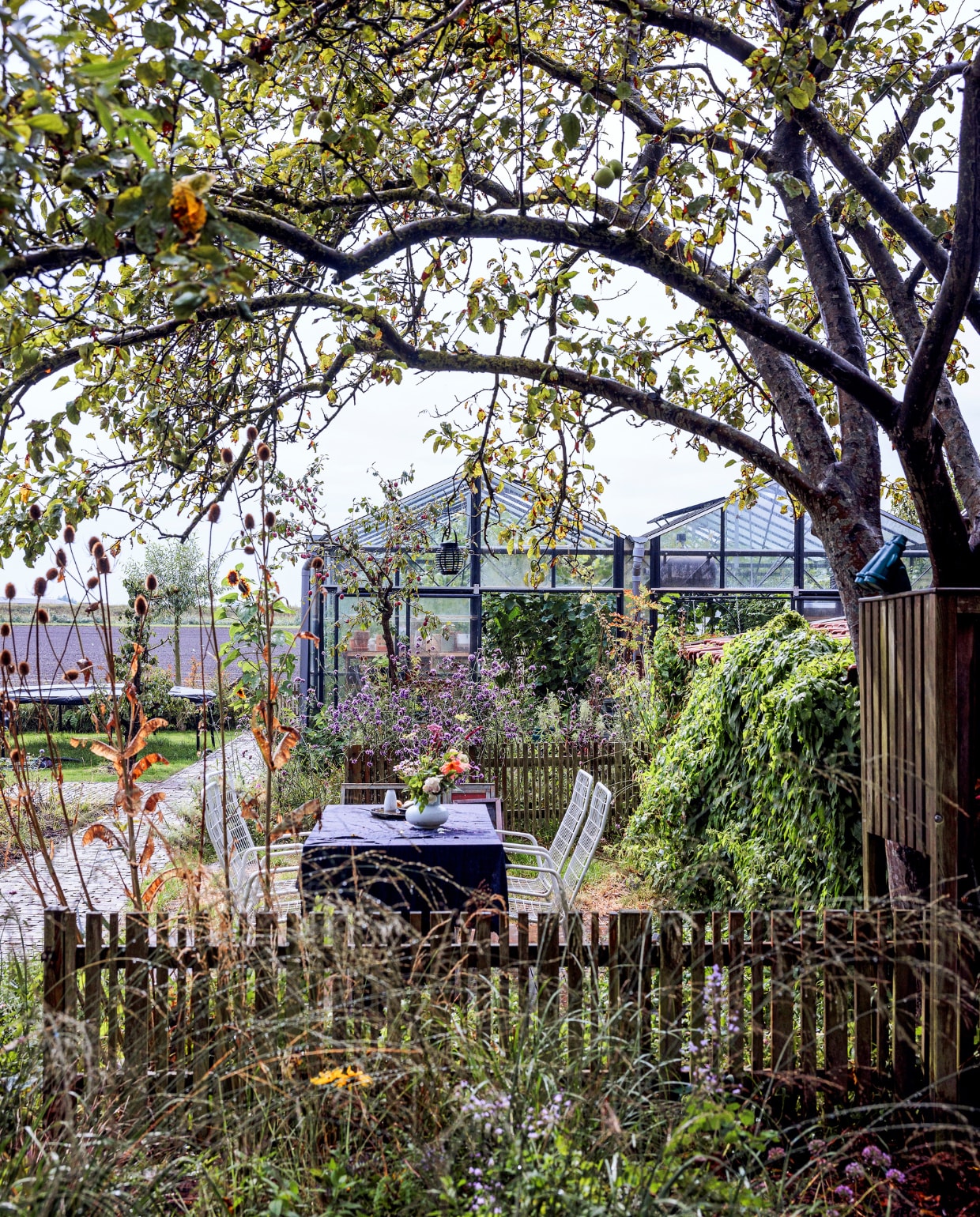 Marks moeder maakte een mooi bordje voor de moestuin. Daarachter een oude Jonagold appelboom. Alle appelbomen zijn gekocht bij Eetbaar Tuinen. De bloemen op de voorgrond zijn asters. vtwonen tuinspecial 09 | styling Fietje Bruijn | fotografie Ernie Enkelaar