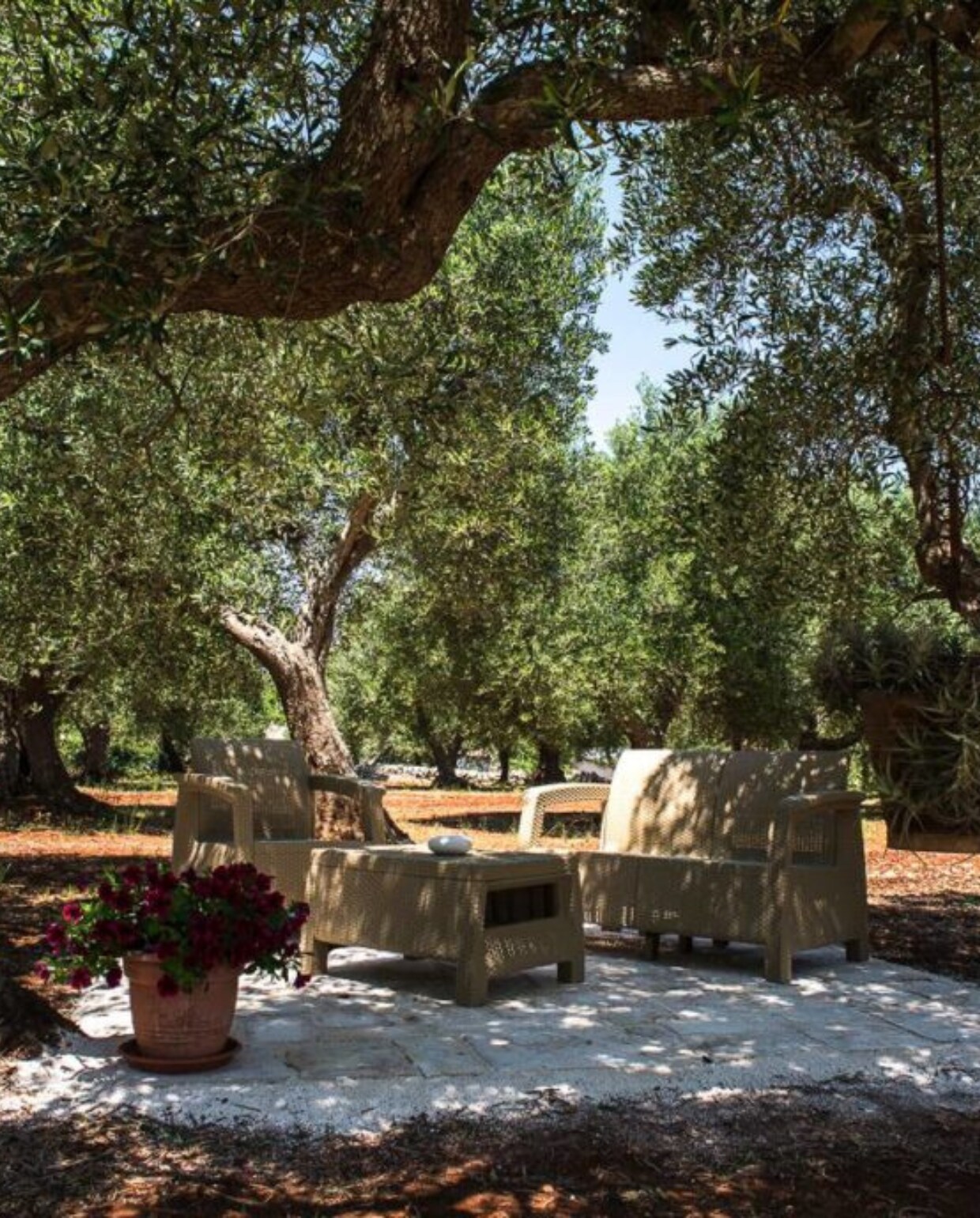 Agriturismo Grotta Di Figazzano Agriturismo Grotta Di Figazzano