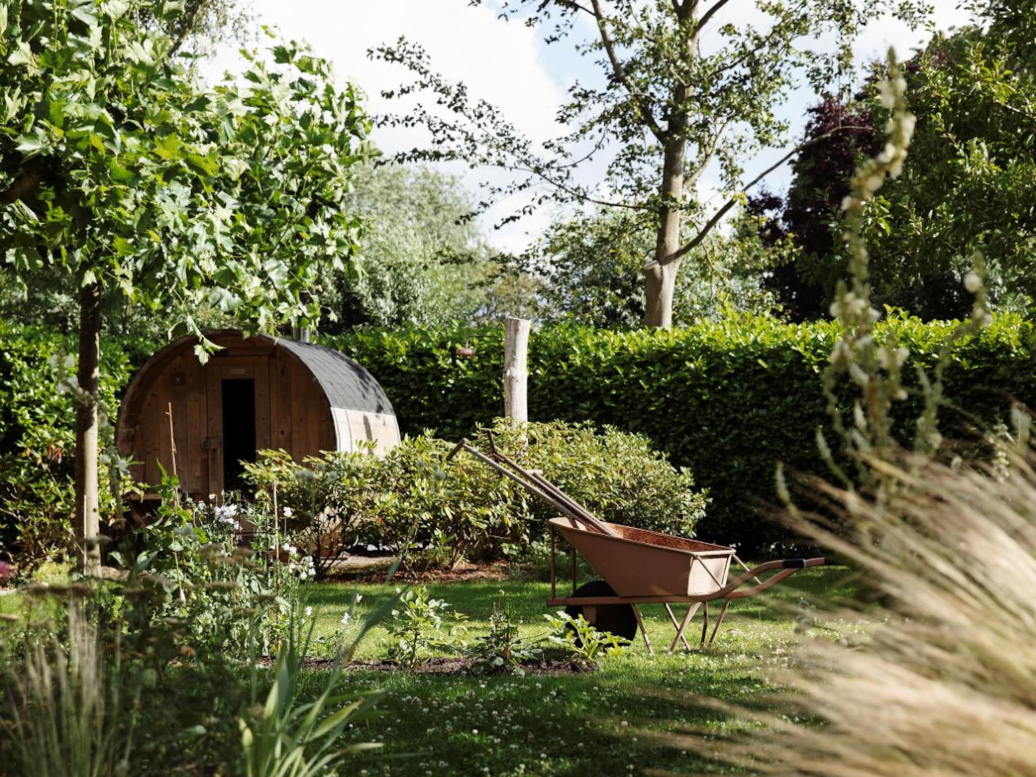 tips bladruimen in de tuin