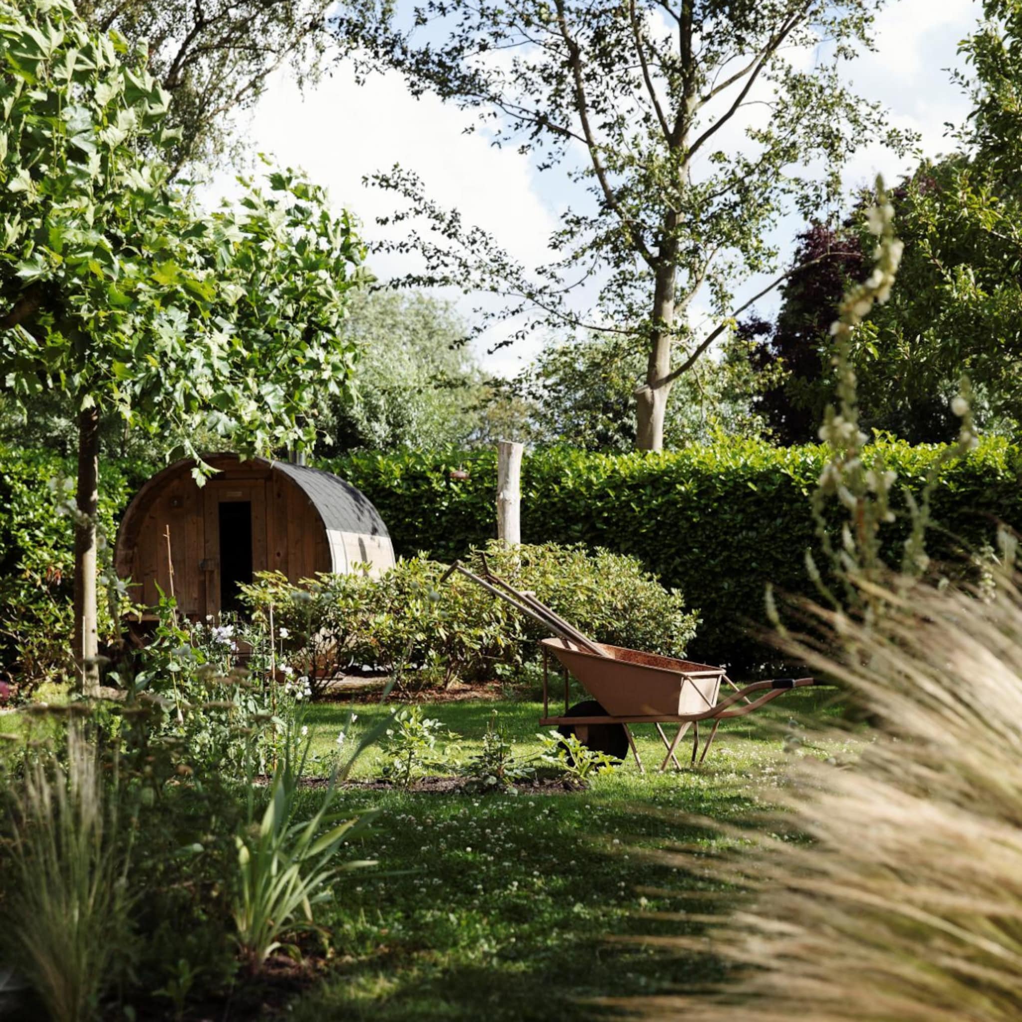 tips bladruimen in de tuin