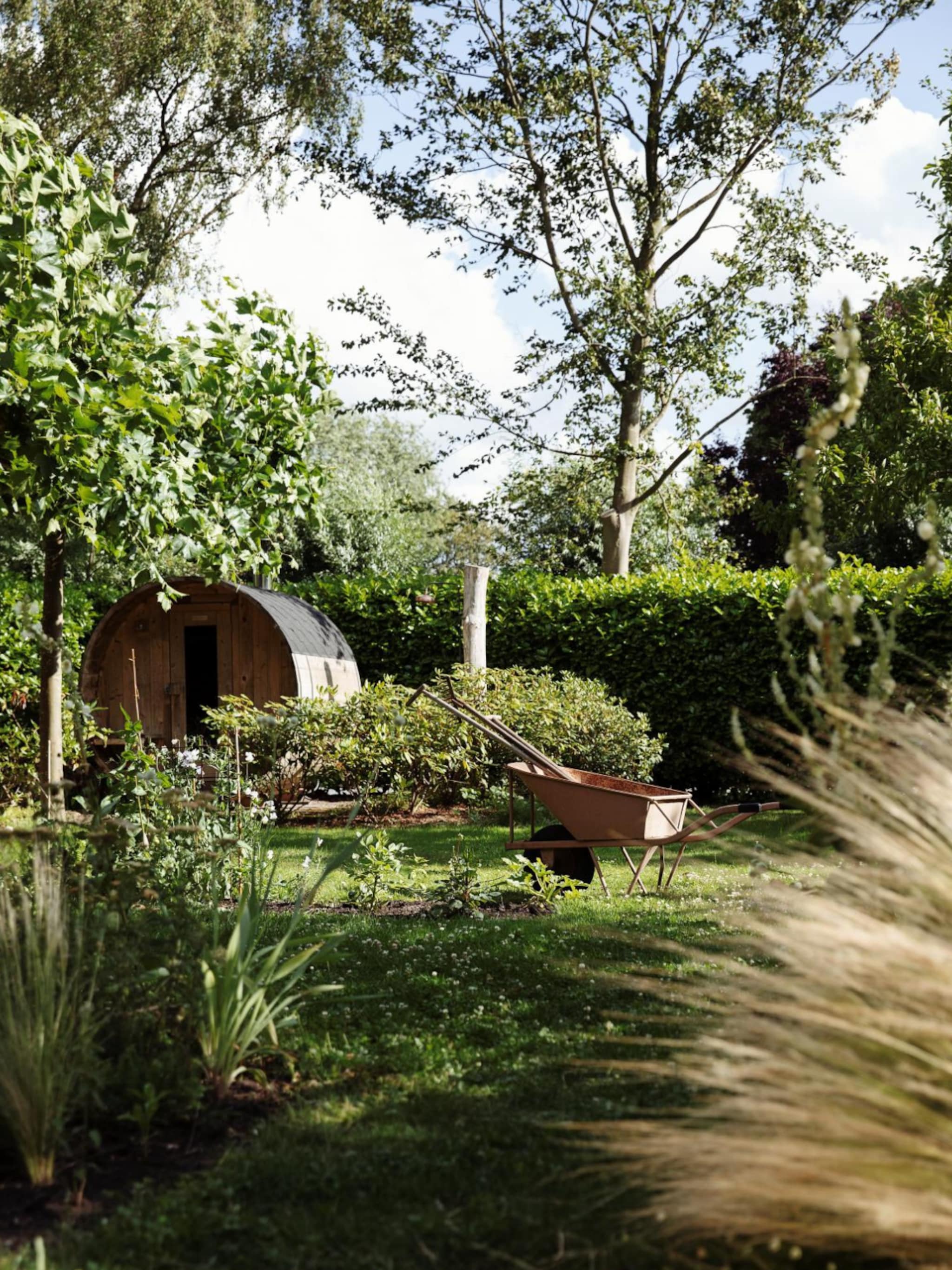 tips bladruimen in de tuin