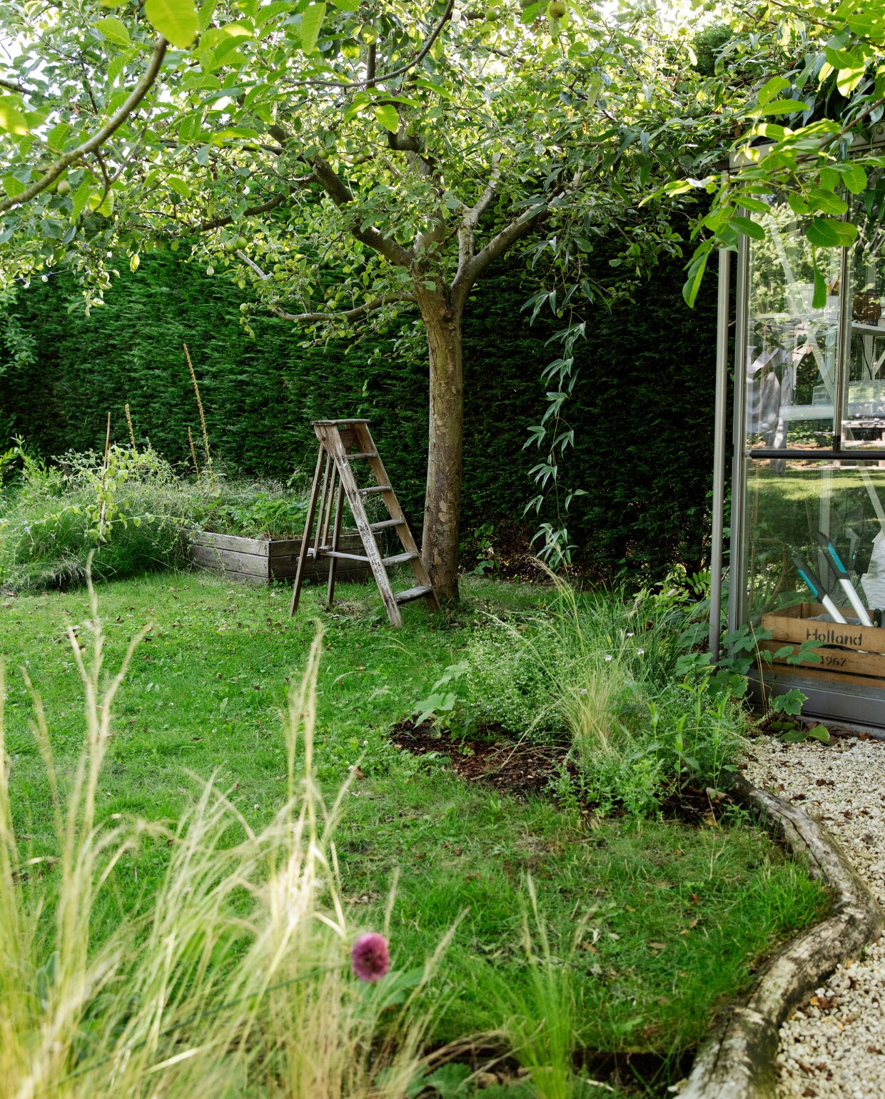 In de kleine boomgaard staan drie appelbomen, een pruimenboom en een vijgenboom. In de moestuinbakken groeien onder andere courgette, tomaat en snijbiet. vtwonen Tuin 09 | styling Ilona Jongepier | fotografie Dana van Leeuwen