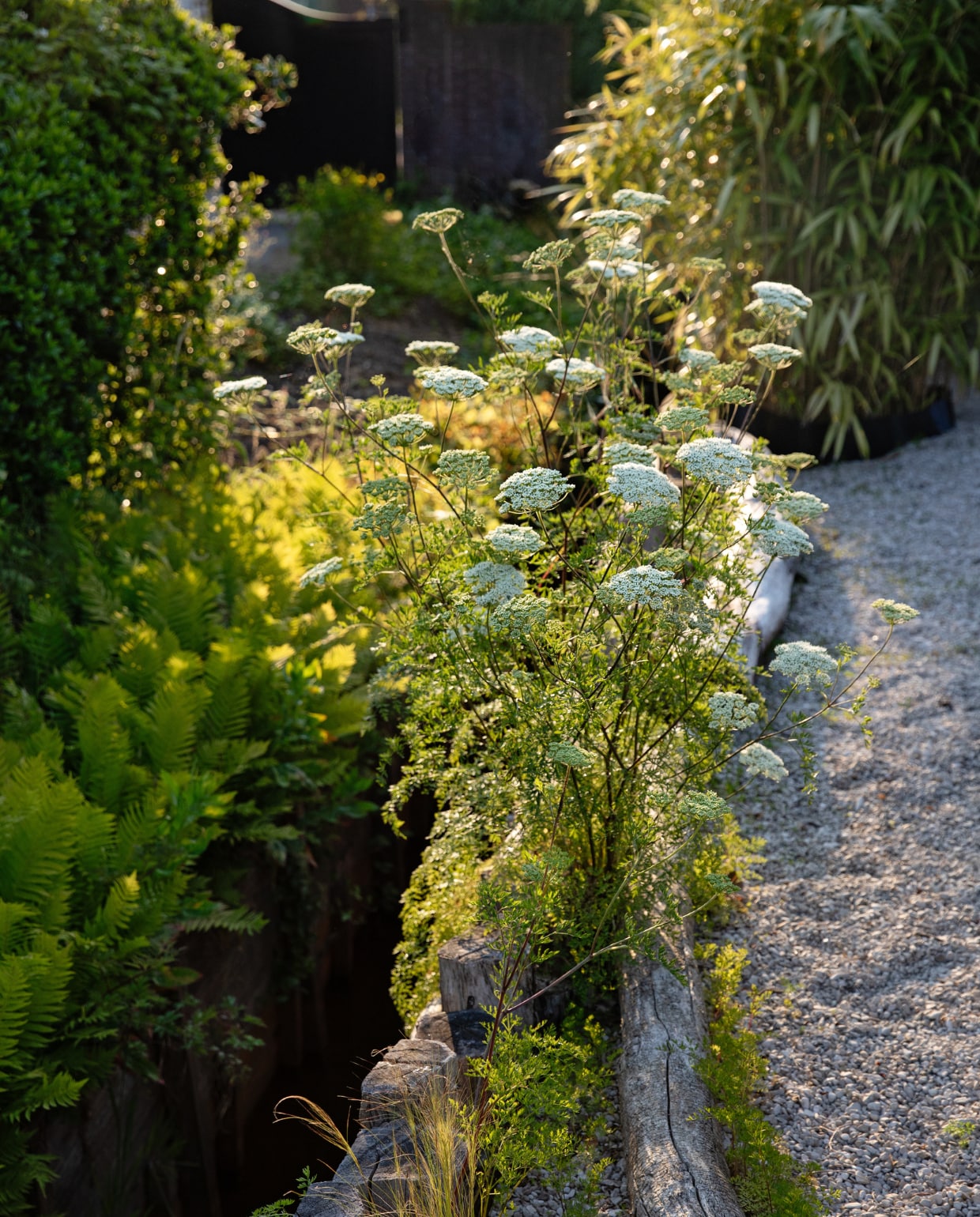 Door deze beek stroomt het snelst stromende water van Nederland. De scheiding tussen grind en gras is gemaakt van acaciastammen. vtwonen special Tuin 09 | styling Ilona Jongepier | fotografie Dana van Leeuwen