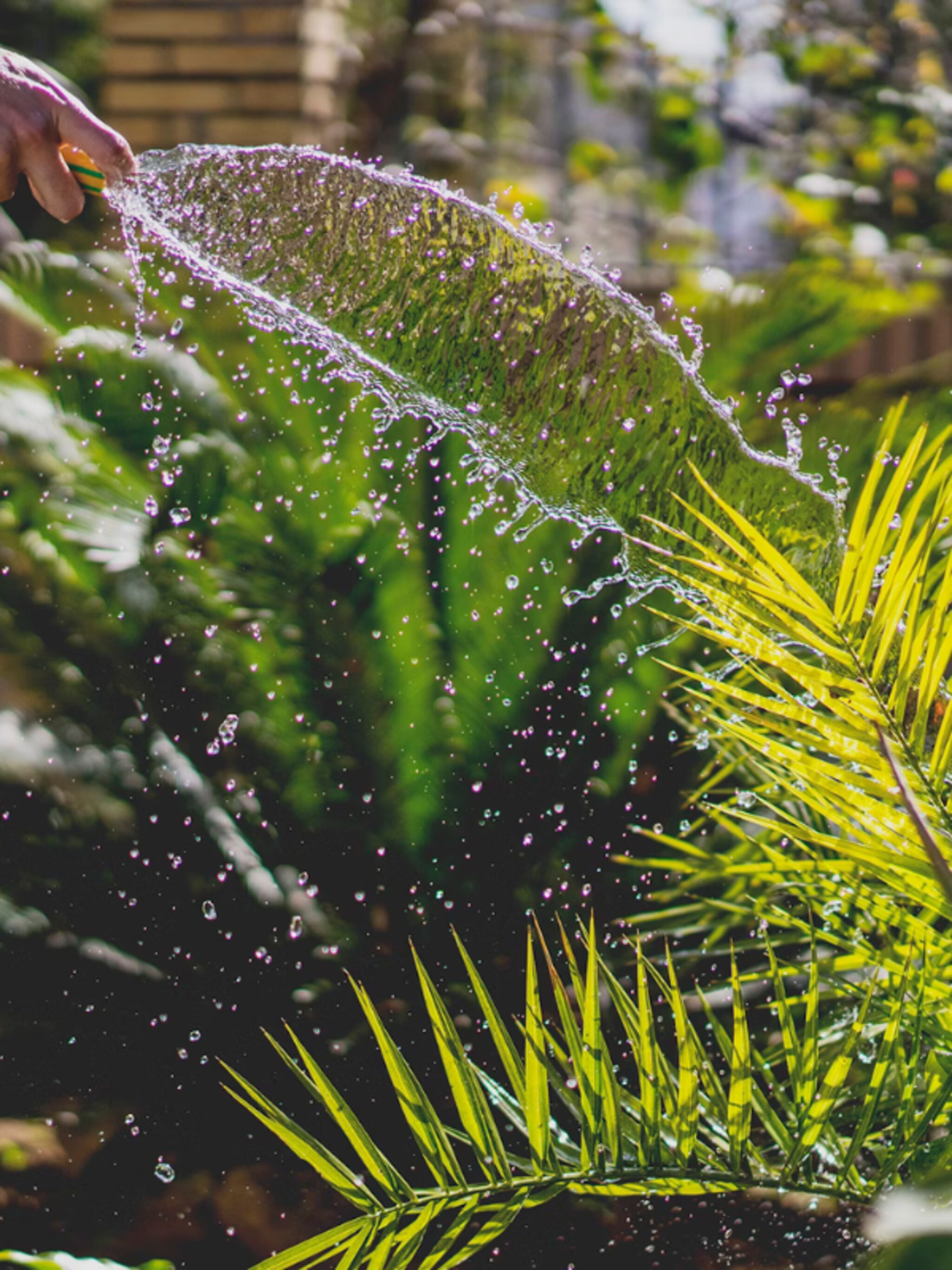 stomend water een waterstopcontact is een handige gadget voor in de tuin