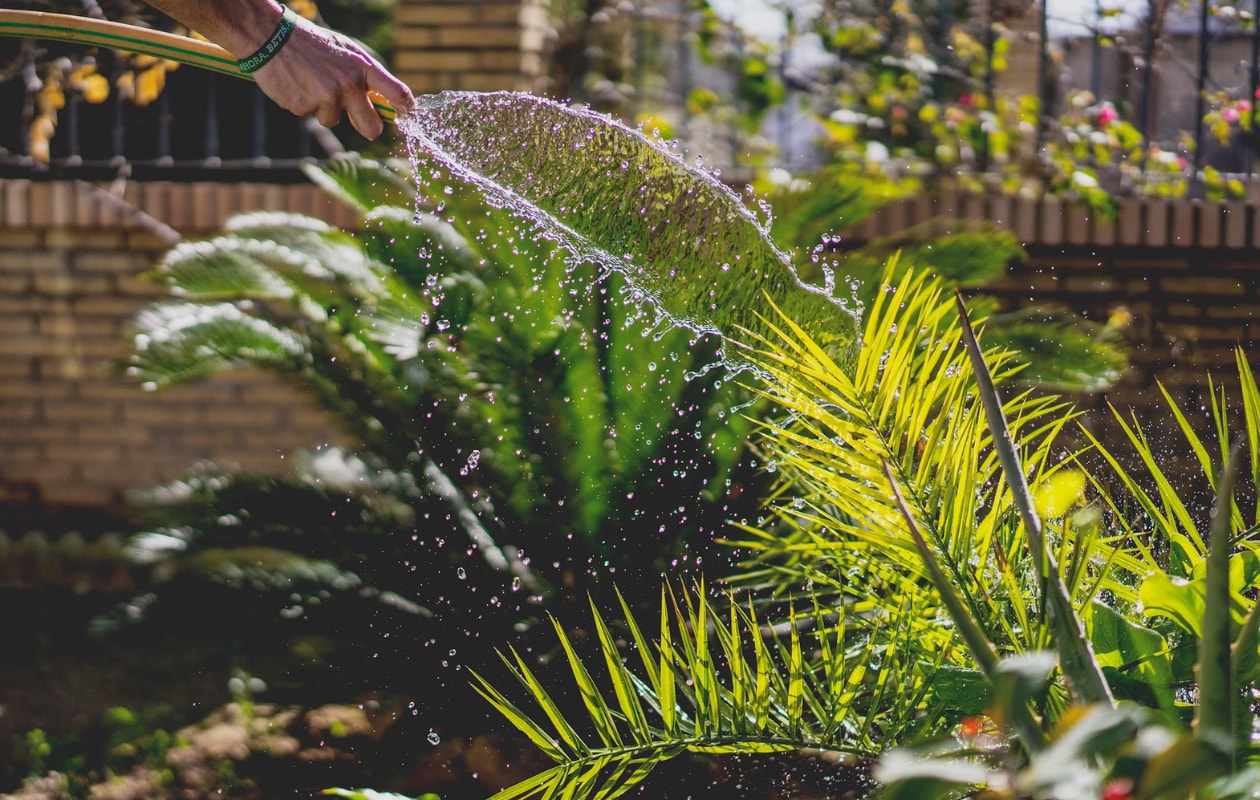 tuinslang, tuin Irene Dávila via Unsplash