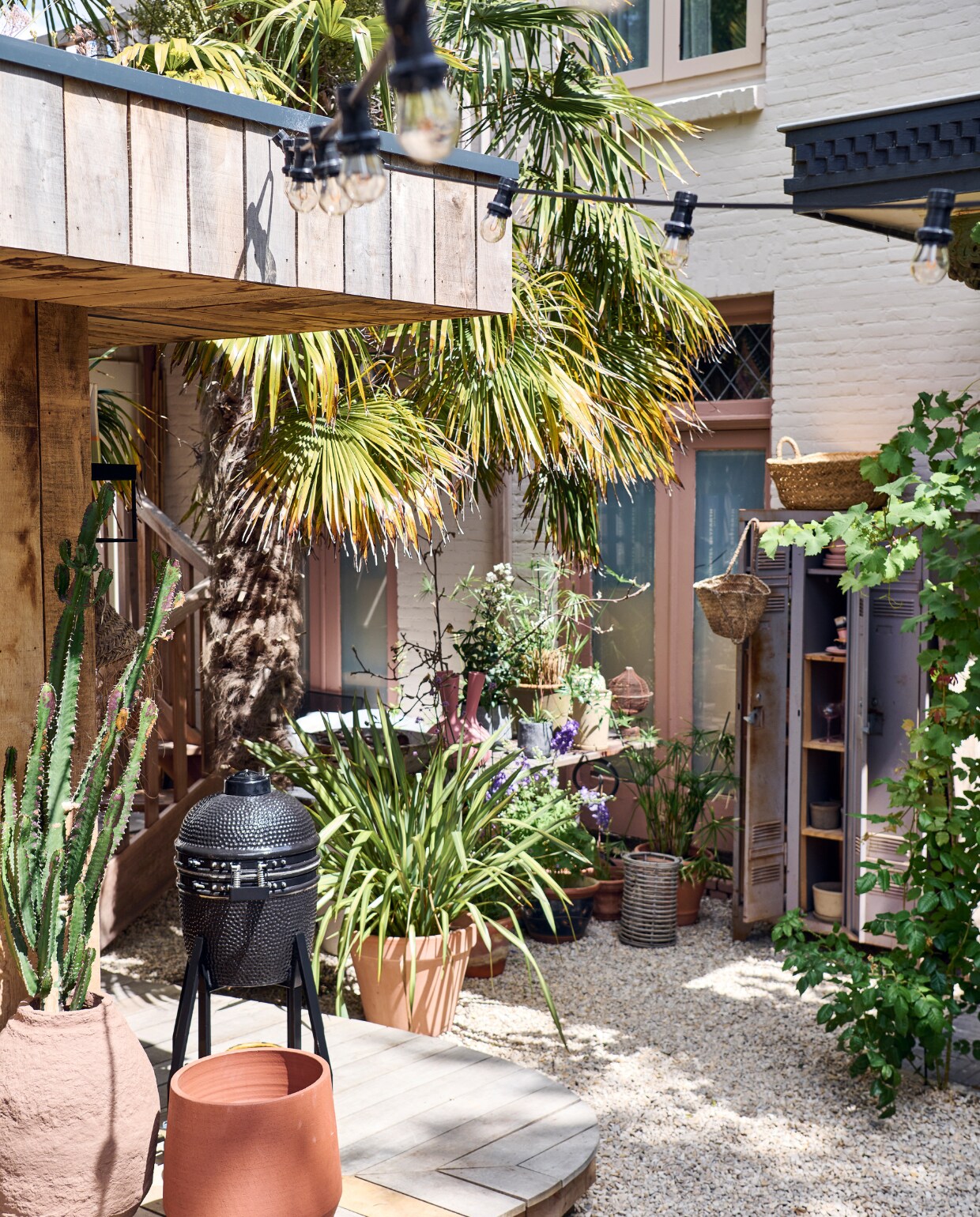 De Chinese waaierpalm (hier in pot) kan twaalf meter hoog worden. Cactus Ranzijn, terracotta pot Intratuin, grill Guru. In pot in het midden groenblijvend Nieuw-Zeelands vlas. Verlichtingssnoer Intratuin, lockerkast vintage. vtwonen tuinspecial 10 | styling Liza wassenaar | fotografie Sjoerd Eickmans