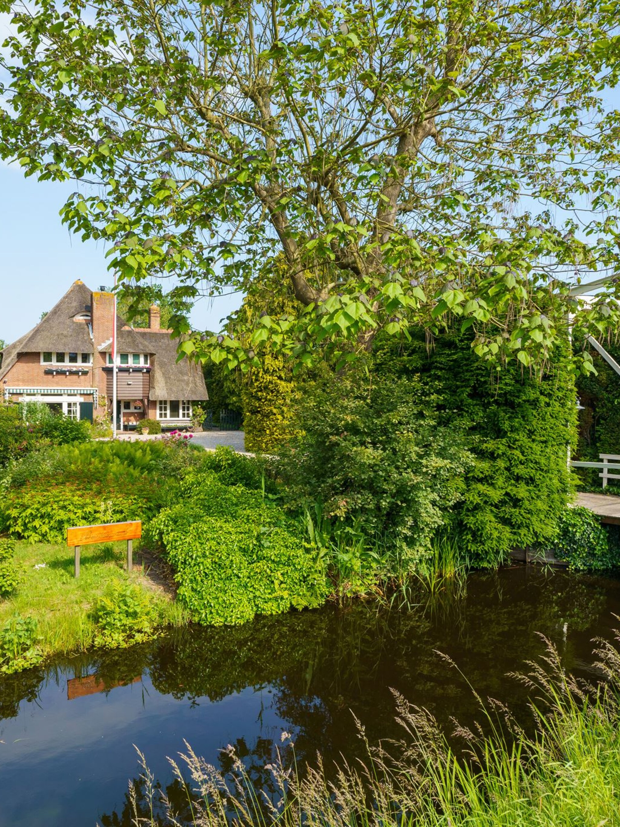gespot wauw vakantie in eigen tuin was nog nooit zo treffend