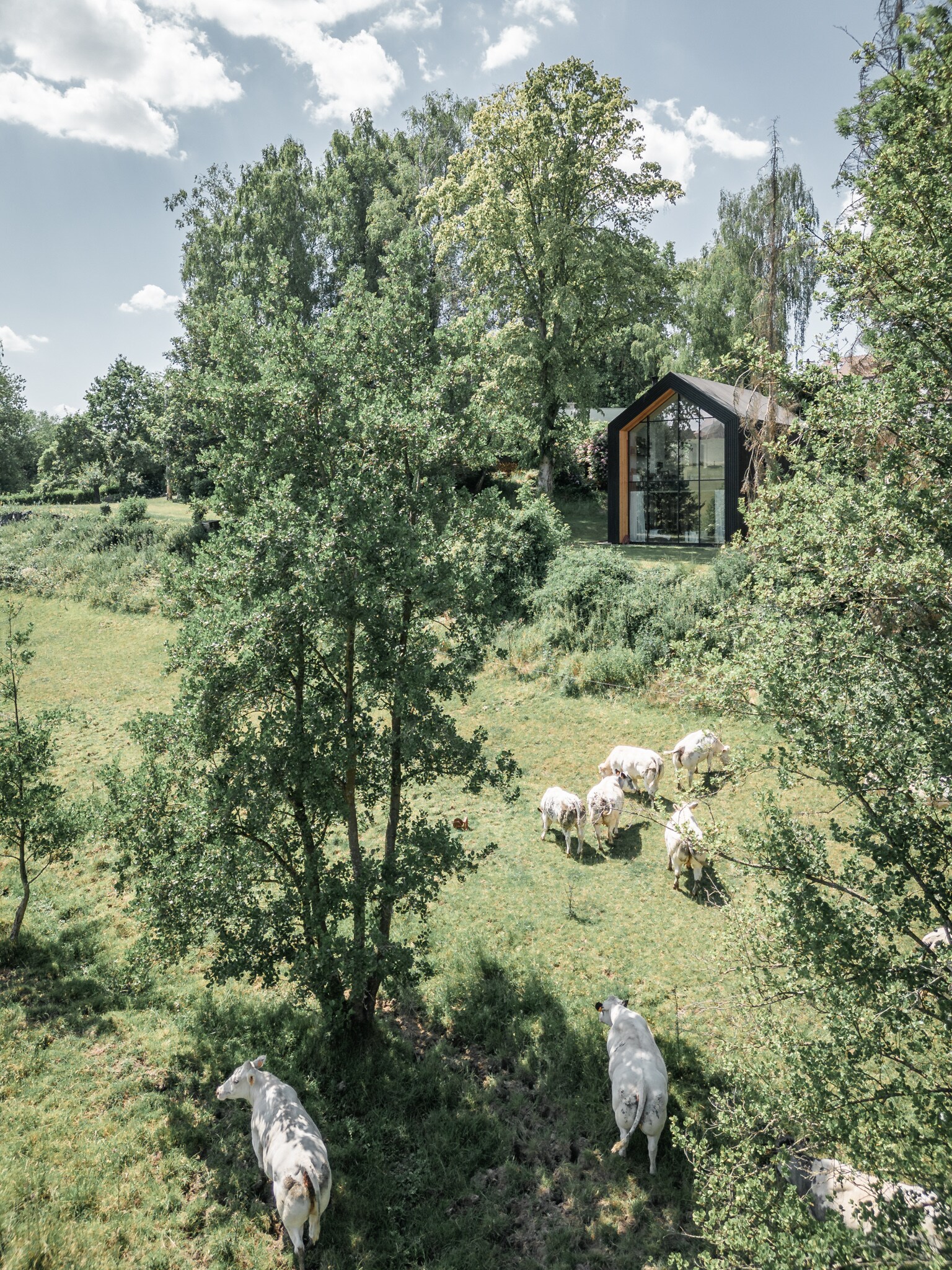 Omgeving houten hut in België Living agency - Utku Pekli