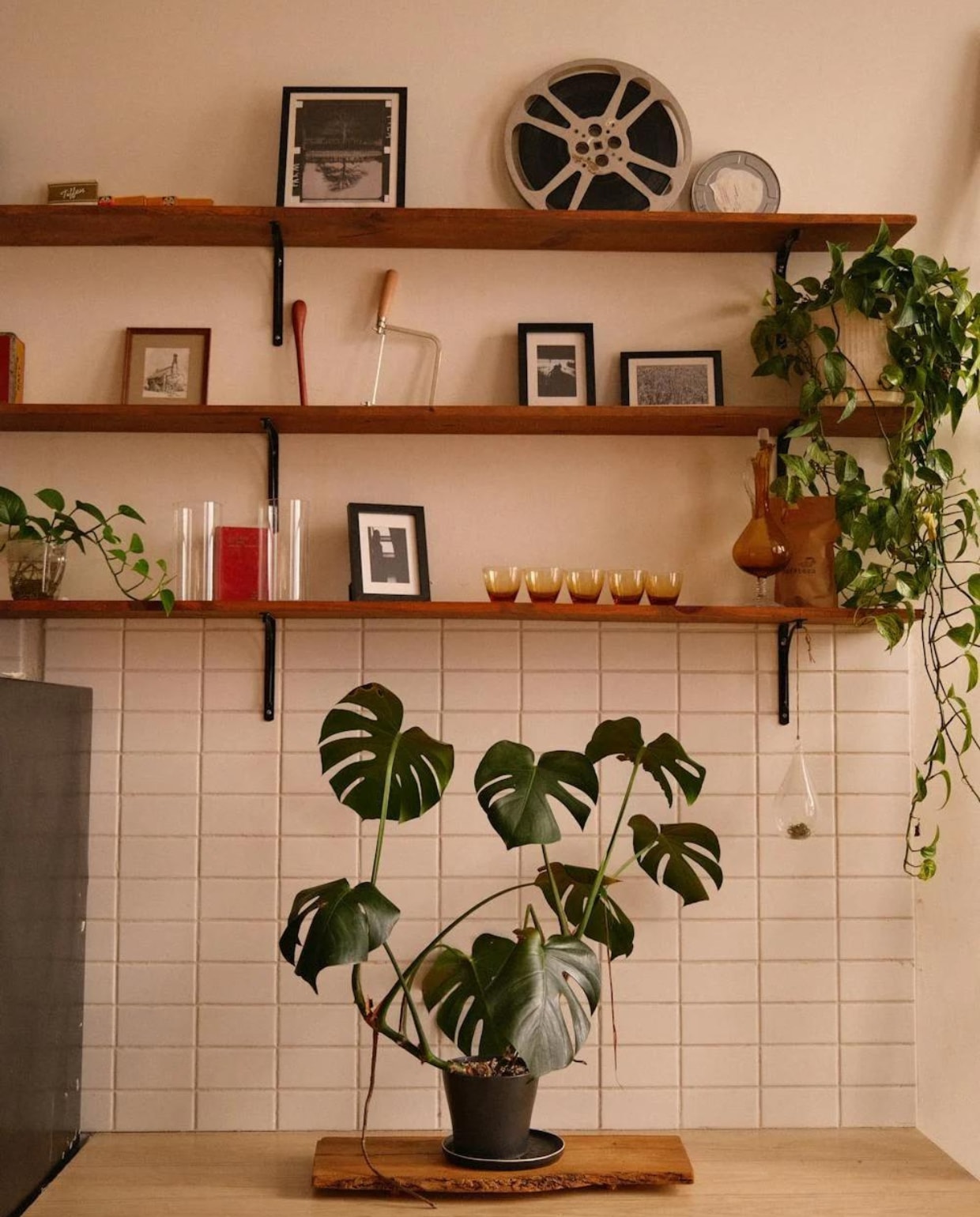kamerplant, wandplanken, keuken, binnenplant Wendy Wei via Pexels