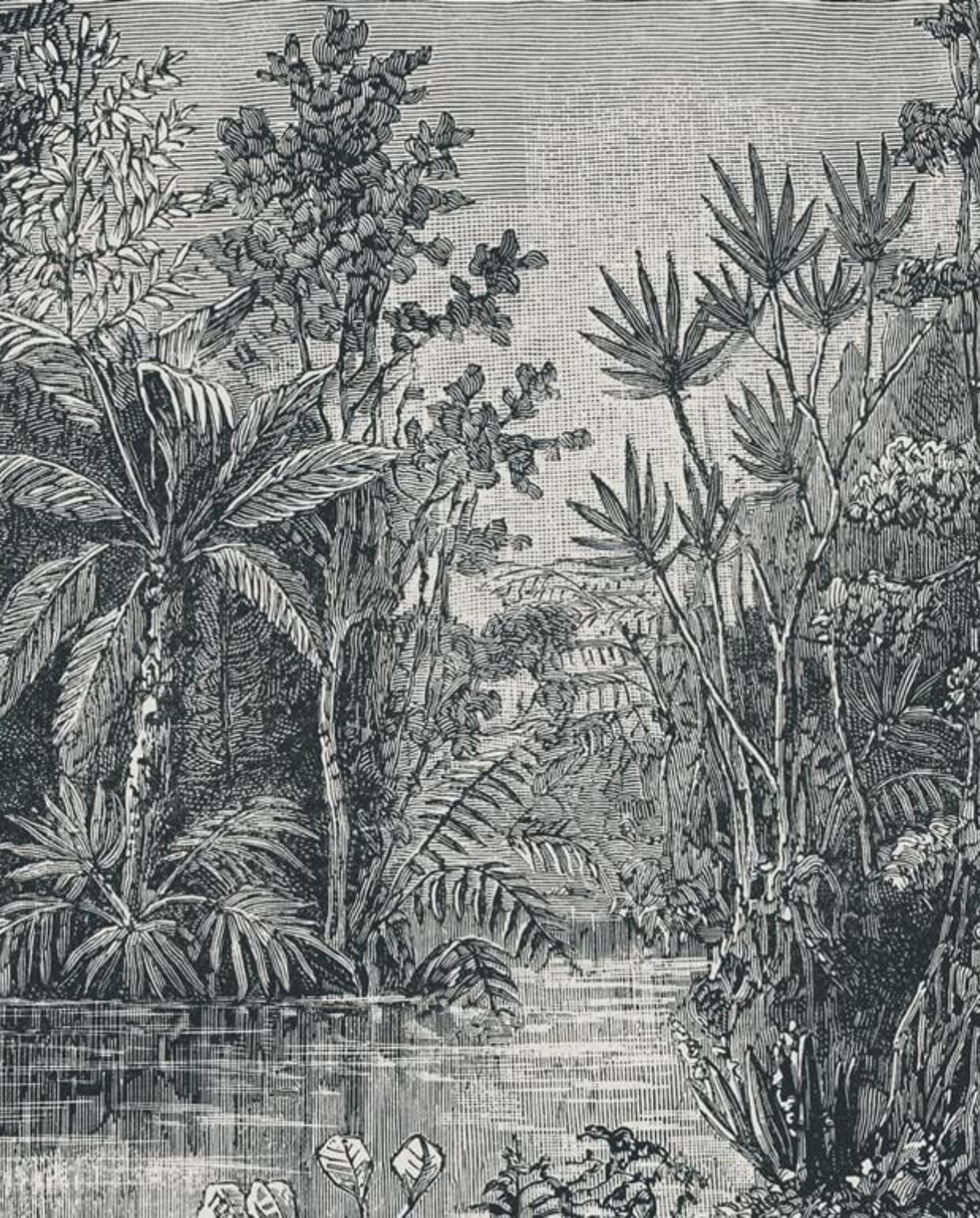 Art for the Home Jungle zwart-wit vtwonen by fonQ