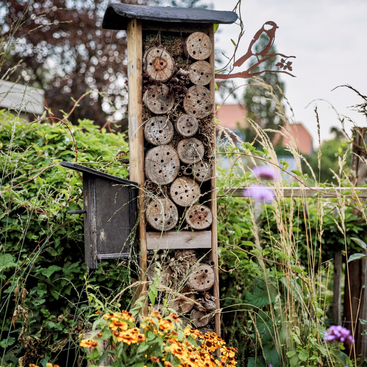 Nieuwe tuinplannen maken? Ga aan de slag met de tuintrends voor 2025 vtwonen tuinspecial 09 | styling Fietje Bruijn | fotografie Ernie Enkelaar
