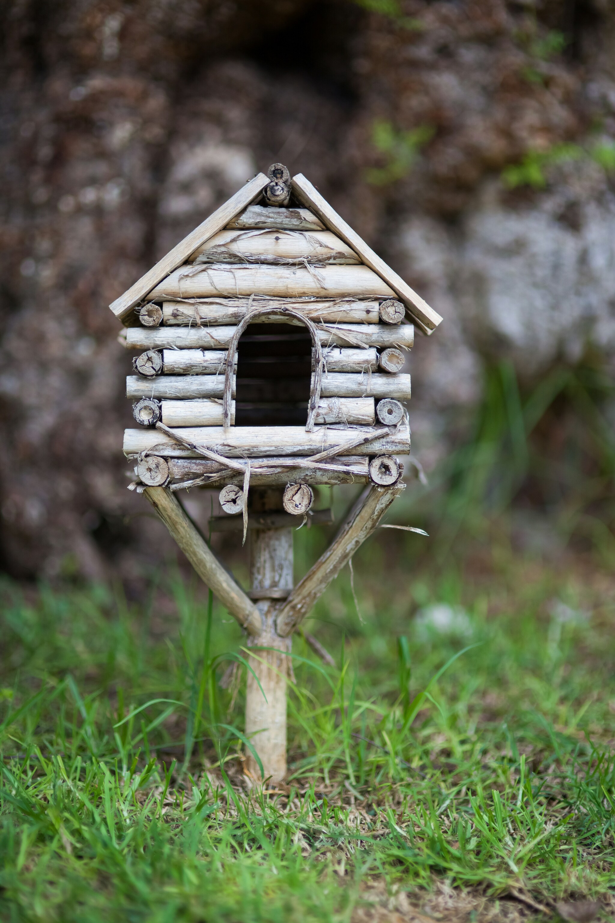 Vogelhuis in de tuin, beeld via Unsplash Fotografie Chepe Nicoli (via Unsplash)