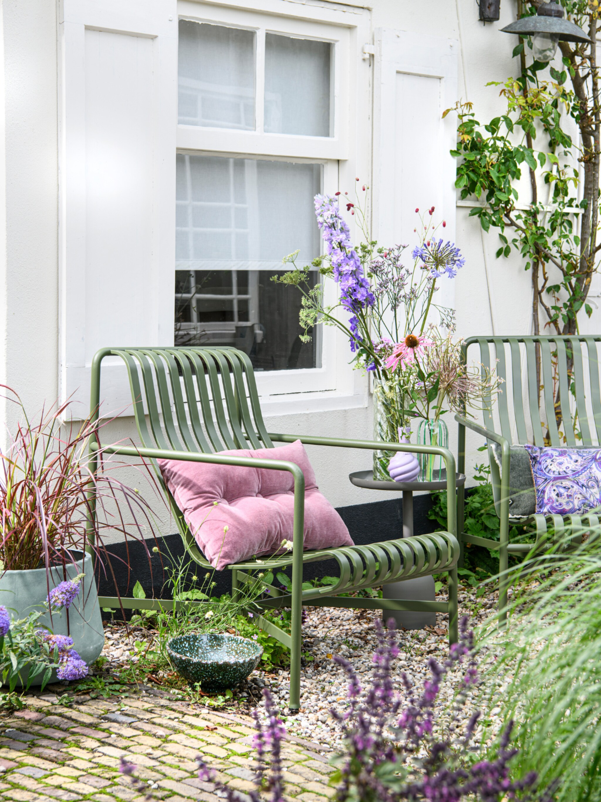 populaire lavendel soorten