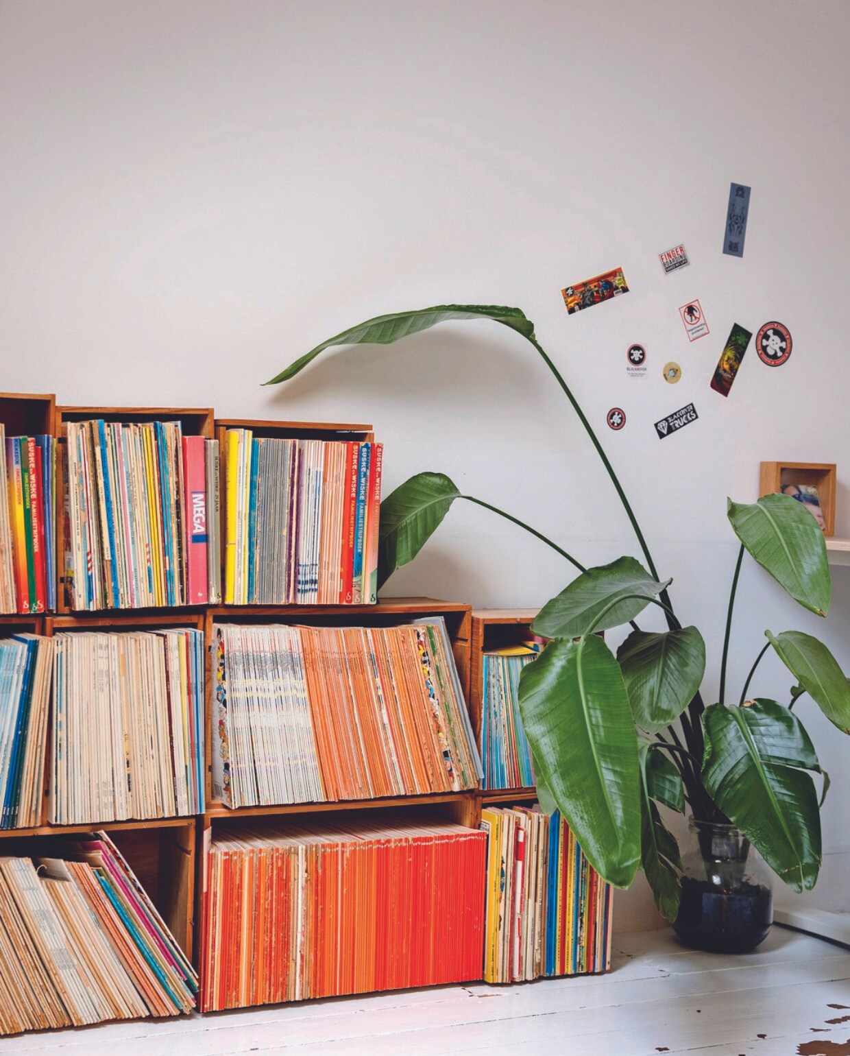Verzameling stripboeken van Dieter in oude wijnkisten. Glazen vaas Dominiques oma, vloer origineel en wit geschilderd. vtwonen 08-2024 | styling Ilona Jongepier | fotografie Dana van Leeuwen