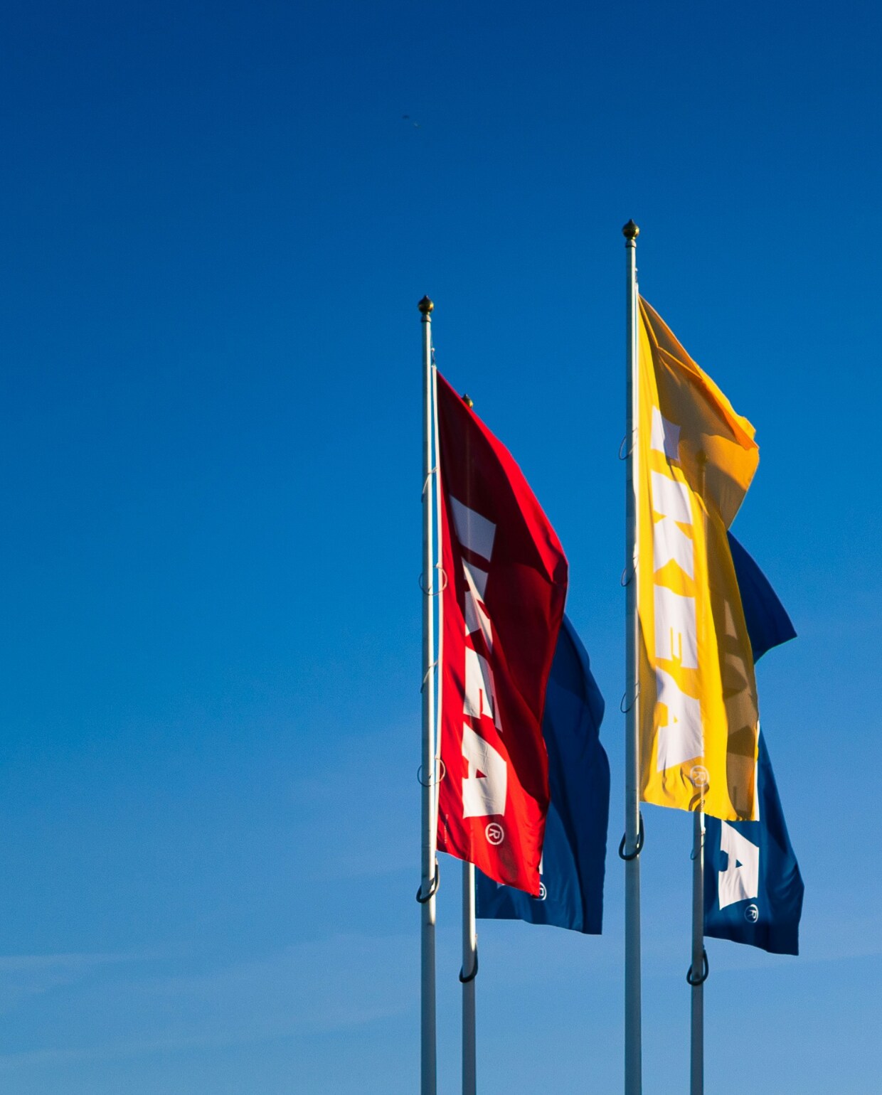 Swingende slaapkamerinspiratie: Ikea komt met bedden naar Lowlands Adam Kolmacka (via Unsplash)