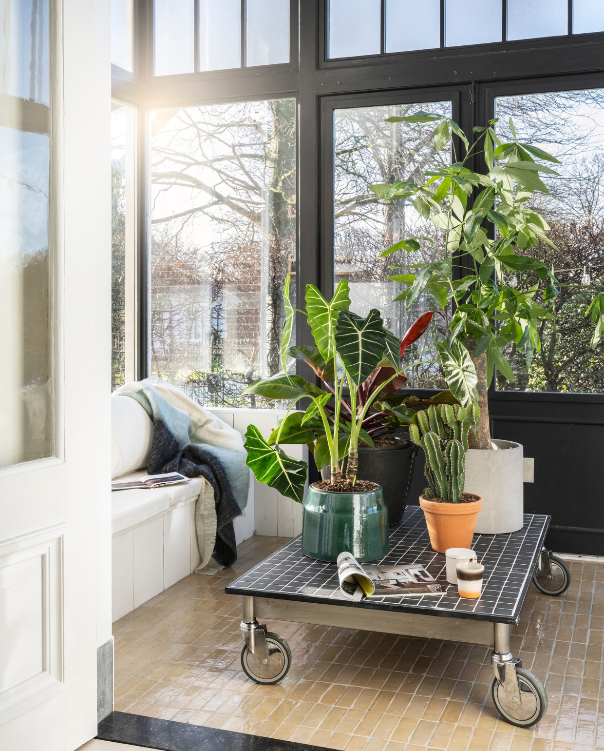 Mozaïektegel, 30x30 cm, per mat € 5,95 (hornbach.nl). Betonnen plantenpot van Serax vanaf € 45,-, donkergroene plantenpot van Serax € 66,-, mohair plaid van Malagoon, 125x150 cm € 49,99 (vtwonen.nl). Beker € 6,75 (hkliving.nl). Overig privébezit. vtwonen 03-2023 | productie Corrien Flohil, Rolien van der Leeuw | styling Fietje Bruijn | fotografie Stan Koolen | m.m.v. De Kringloper Naarden