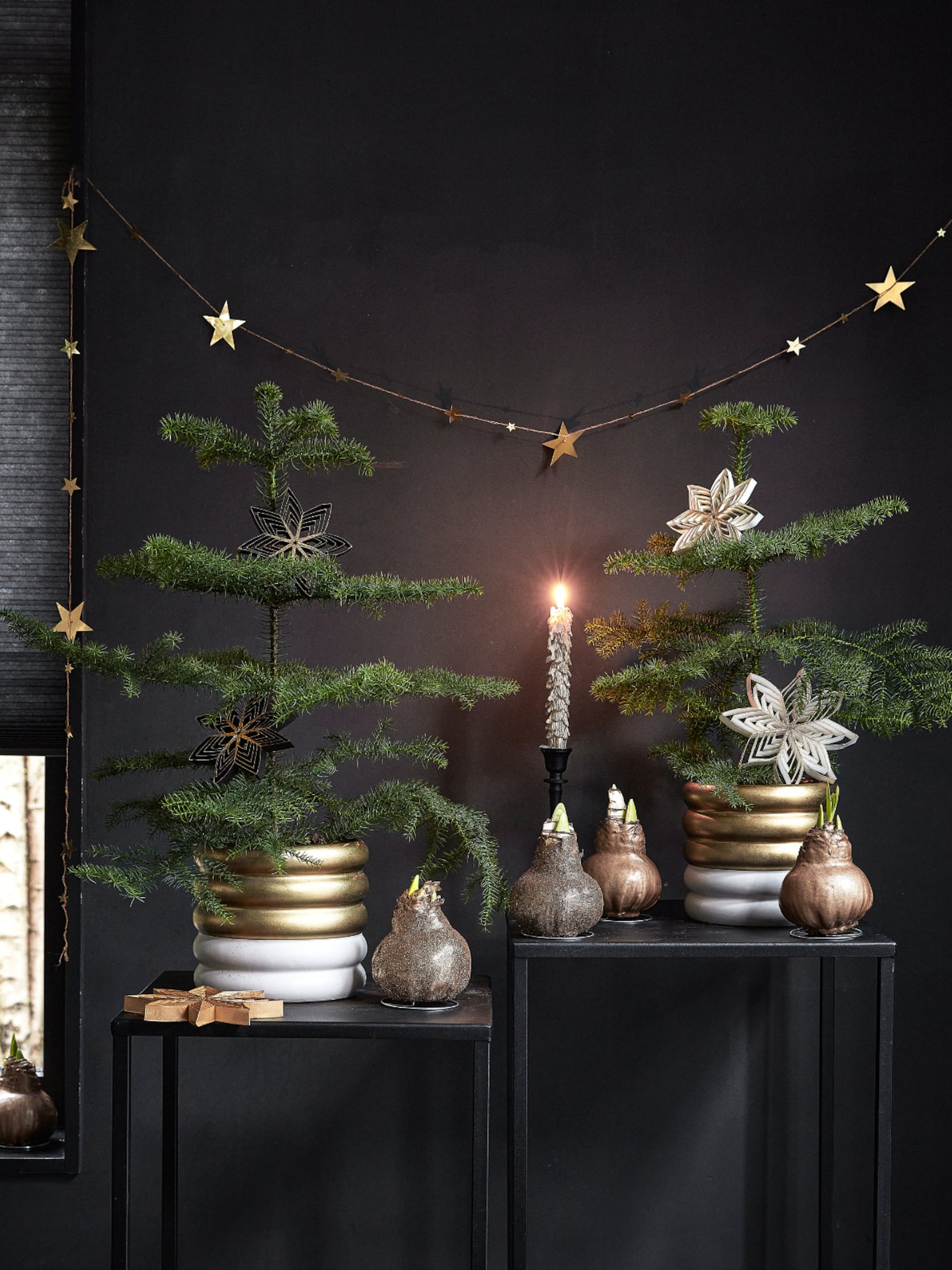 12x tuincentra met kerstshow