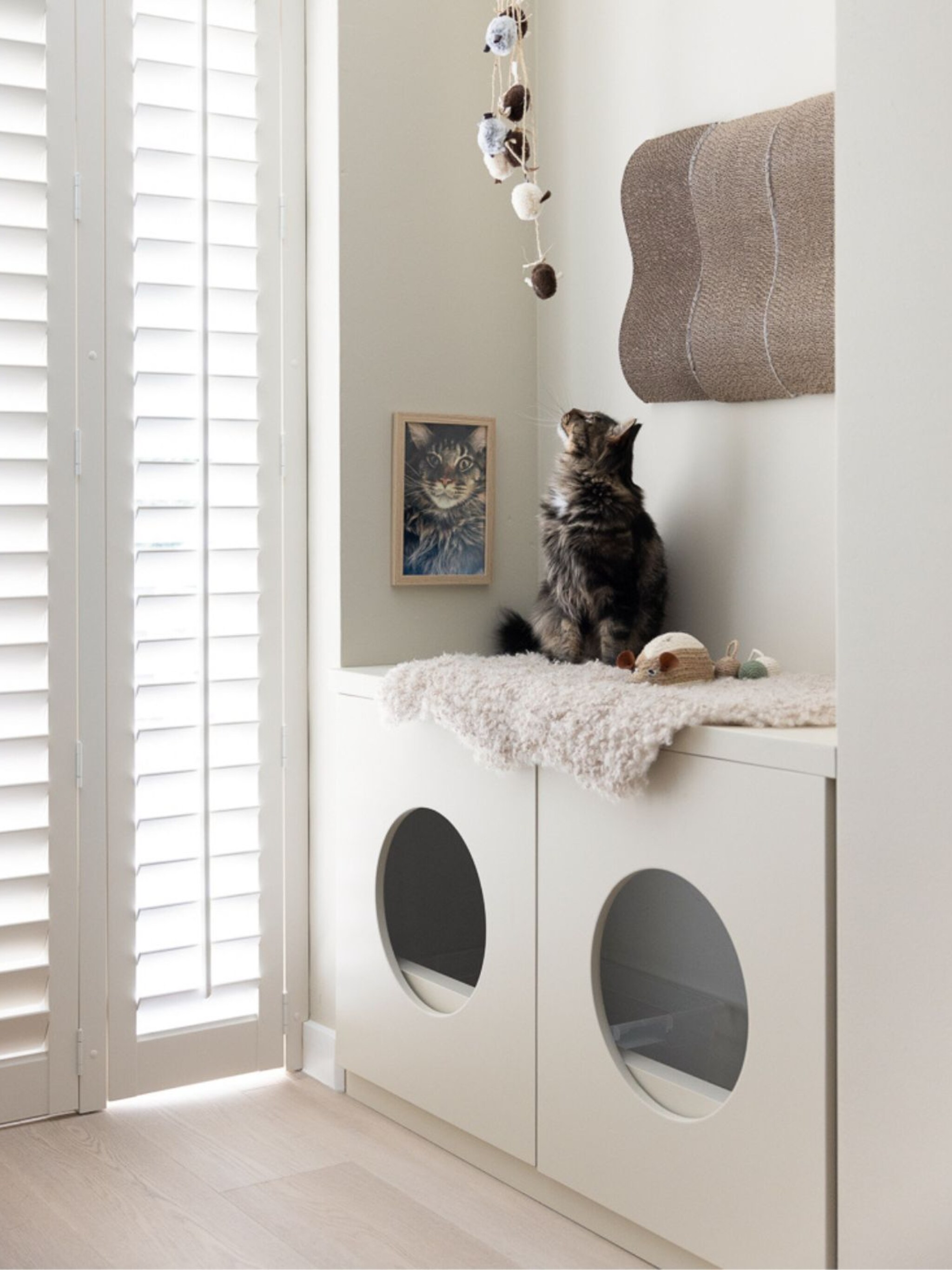 kattenkamer inrichten tips