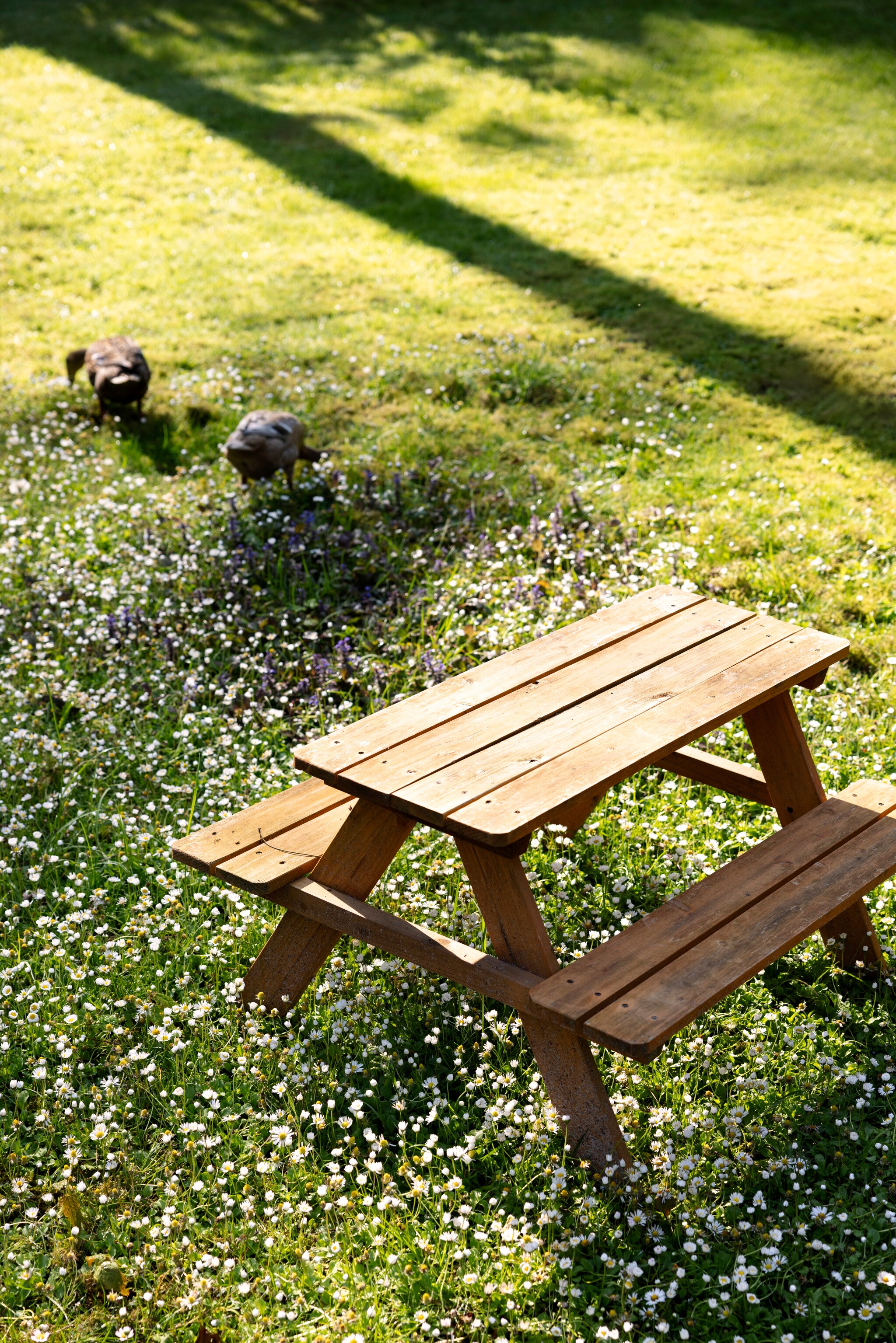 Kinderpicknicktafel Livarno Home via Lidl. vtwonen 02-2025 | styling Ilona Jongepier | fotografie Dana van Leeuwen | tekst Chris Muyres
