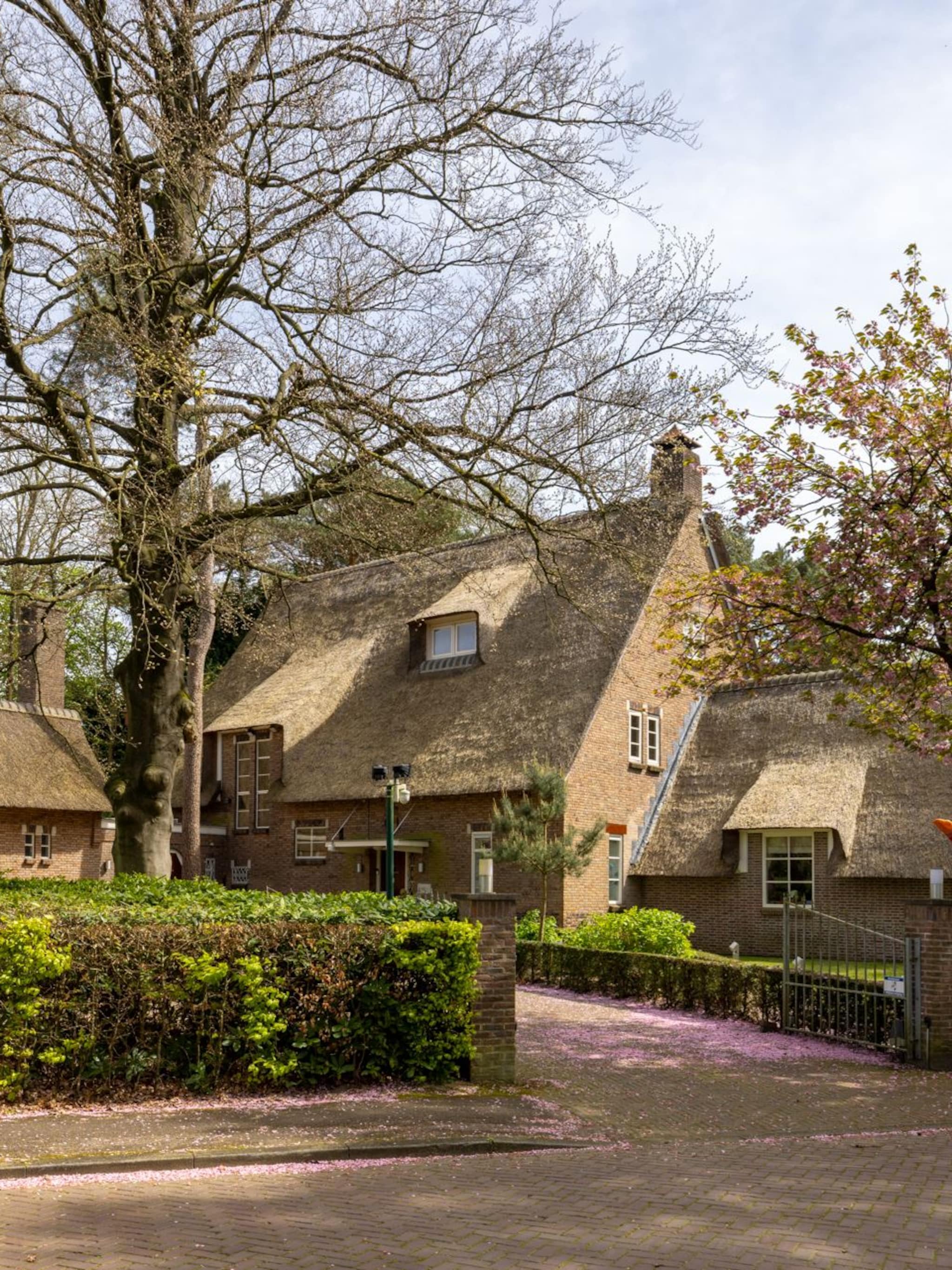 landhuis breda met zwembad en wijnkelder