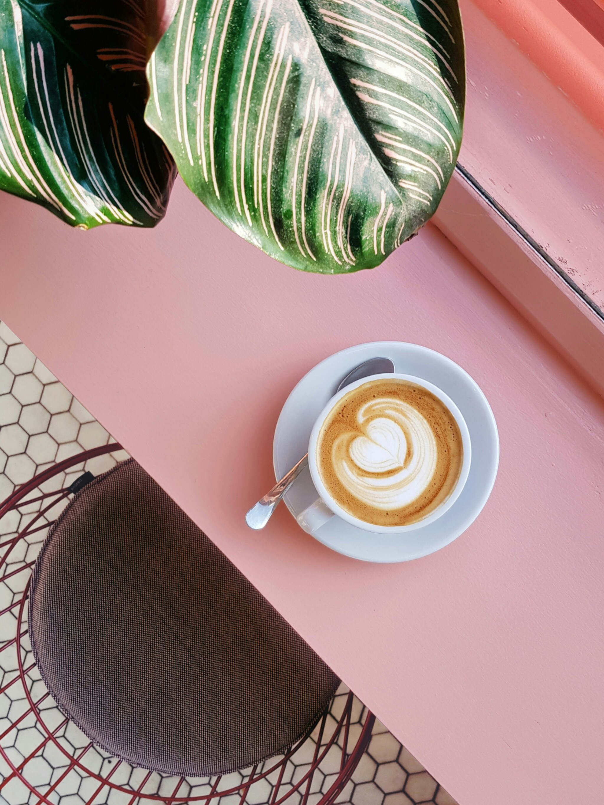 koffiedik in de tuin