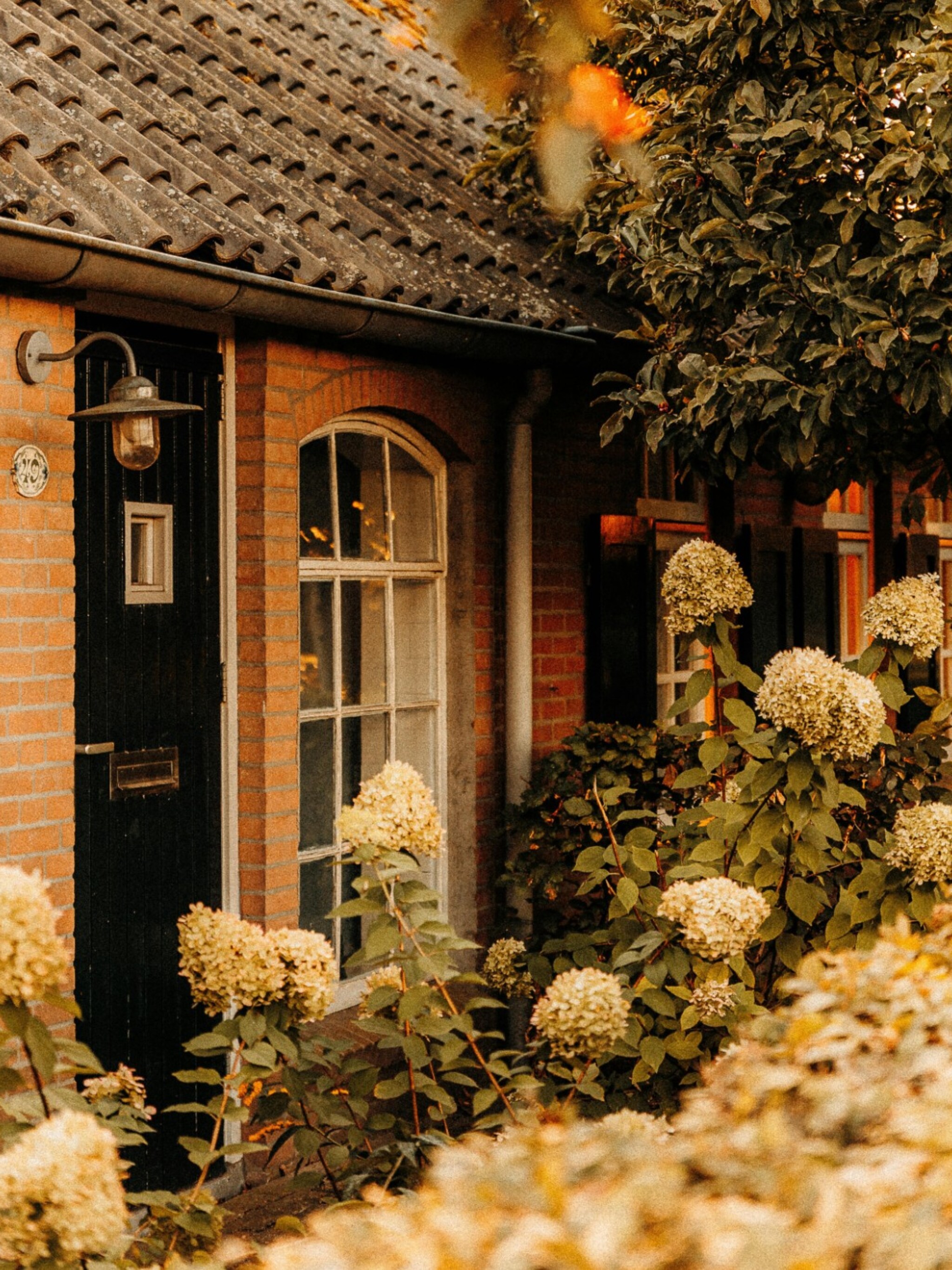 ideeen voor een landelijke voortuin