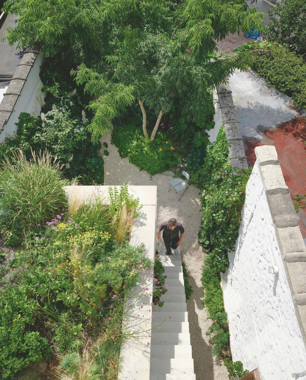 Een betonnen trap verbindt de tuin met de leefruimte op de eerste verdieping. De daktuin is aangelegd op een nieuwe aanbouw, waarin de slaapkamer is ondergebracht. stijlvol wonen 02-2025 | productie Living Inside | fotografie Mr. Frank