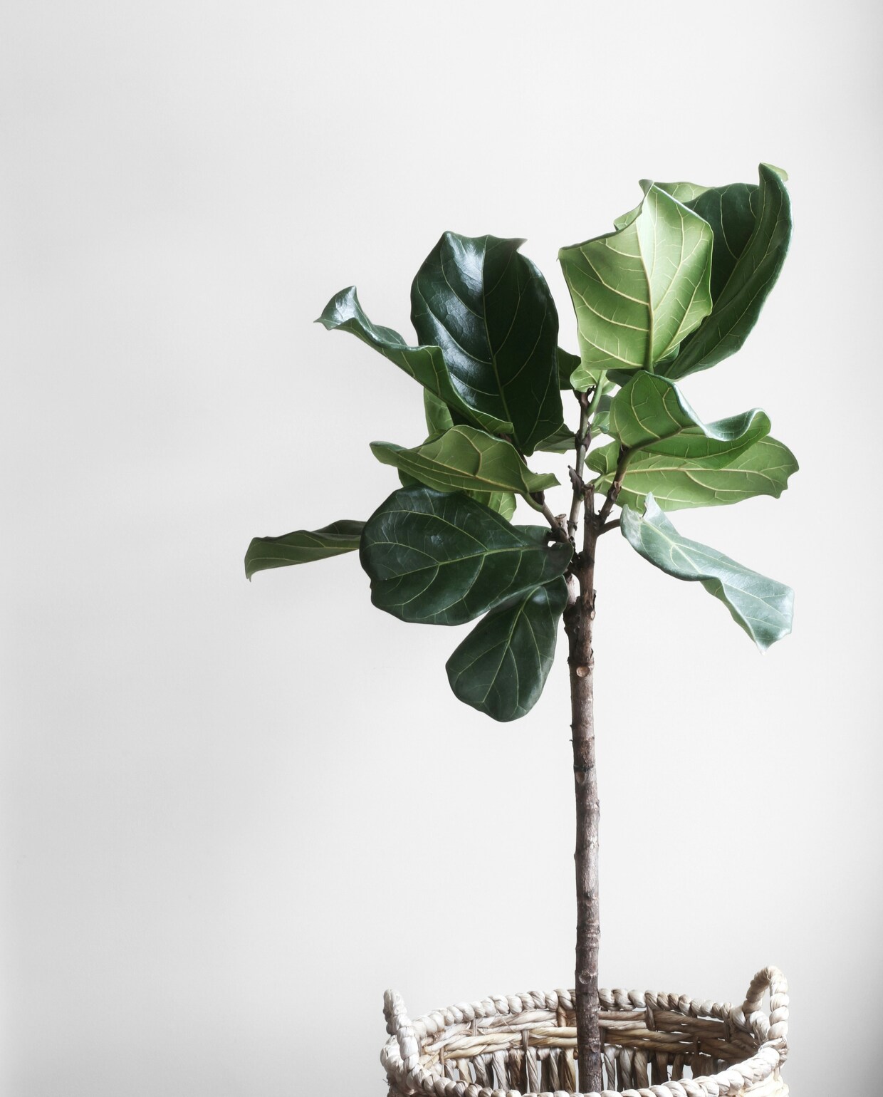 unsplash unsplash