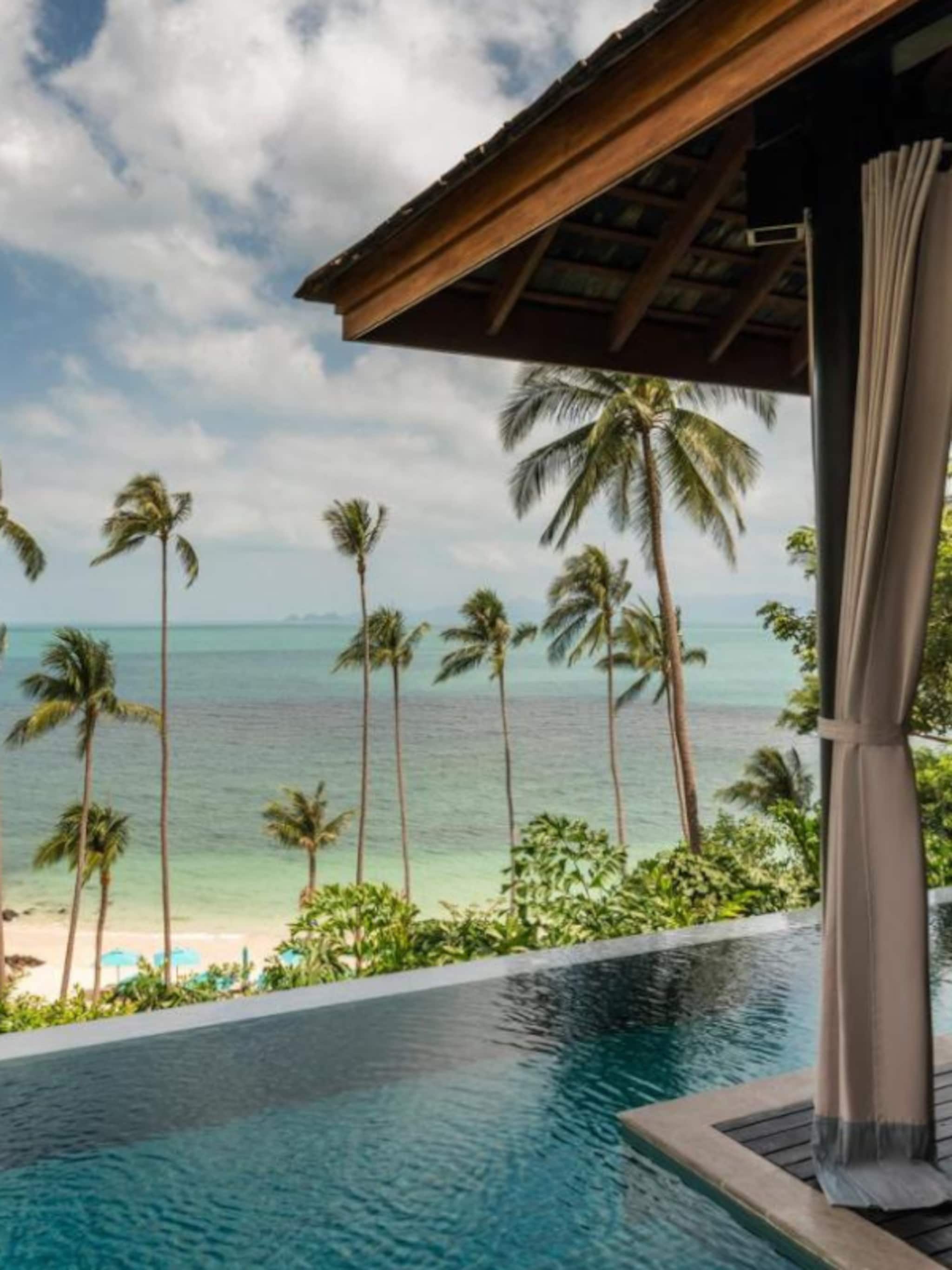 the white lotus hotels