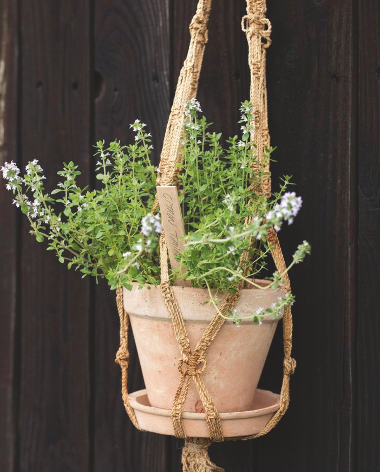 Handig: doe de pot met schotel en al in een hanger, dan hoeft er in de zomer wat minder gegoten te worden. vtwonen tuin 11 | styling gaia rasmussen | fotografie kira brandt