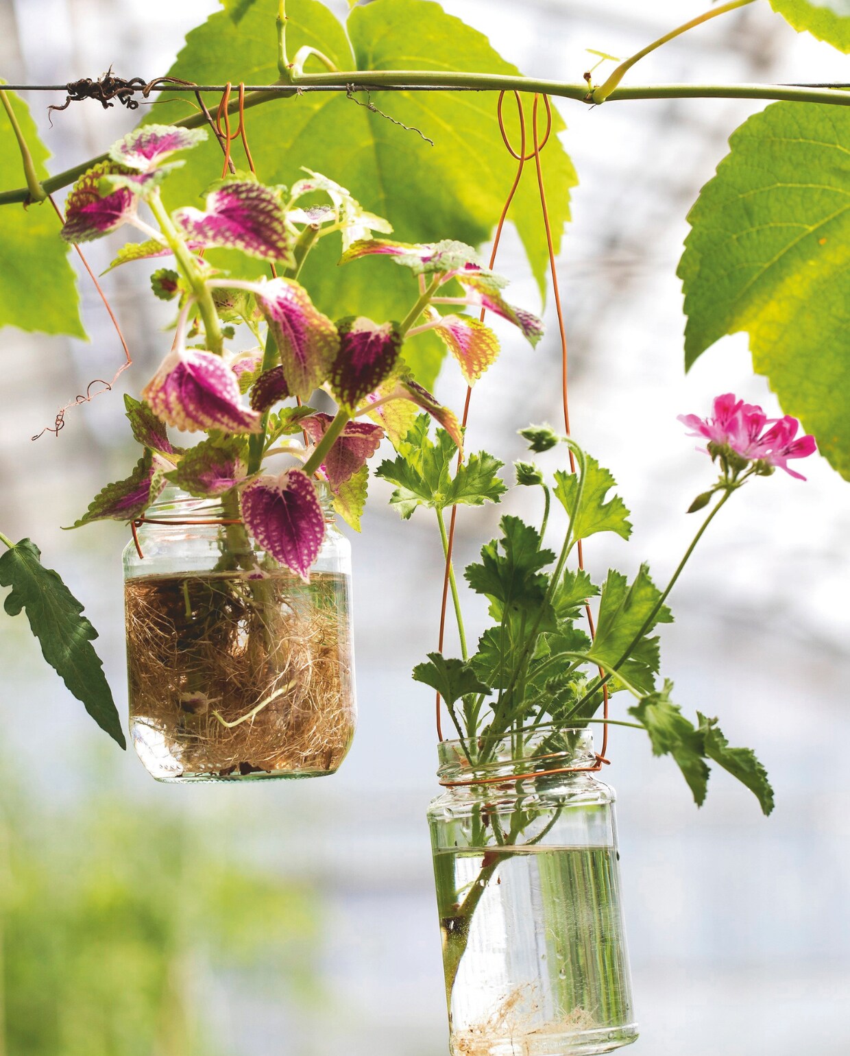 Koperkleurig ijzerdraad o.a. bij Søstrene Grene. vtwonen tuin 11 | styling gaia rasmussen | fotografie kira brandt