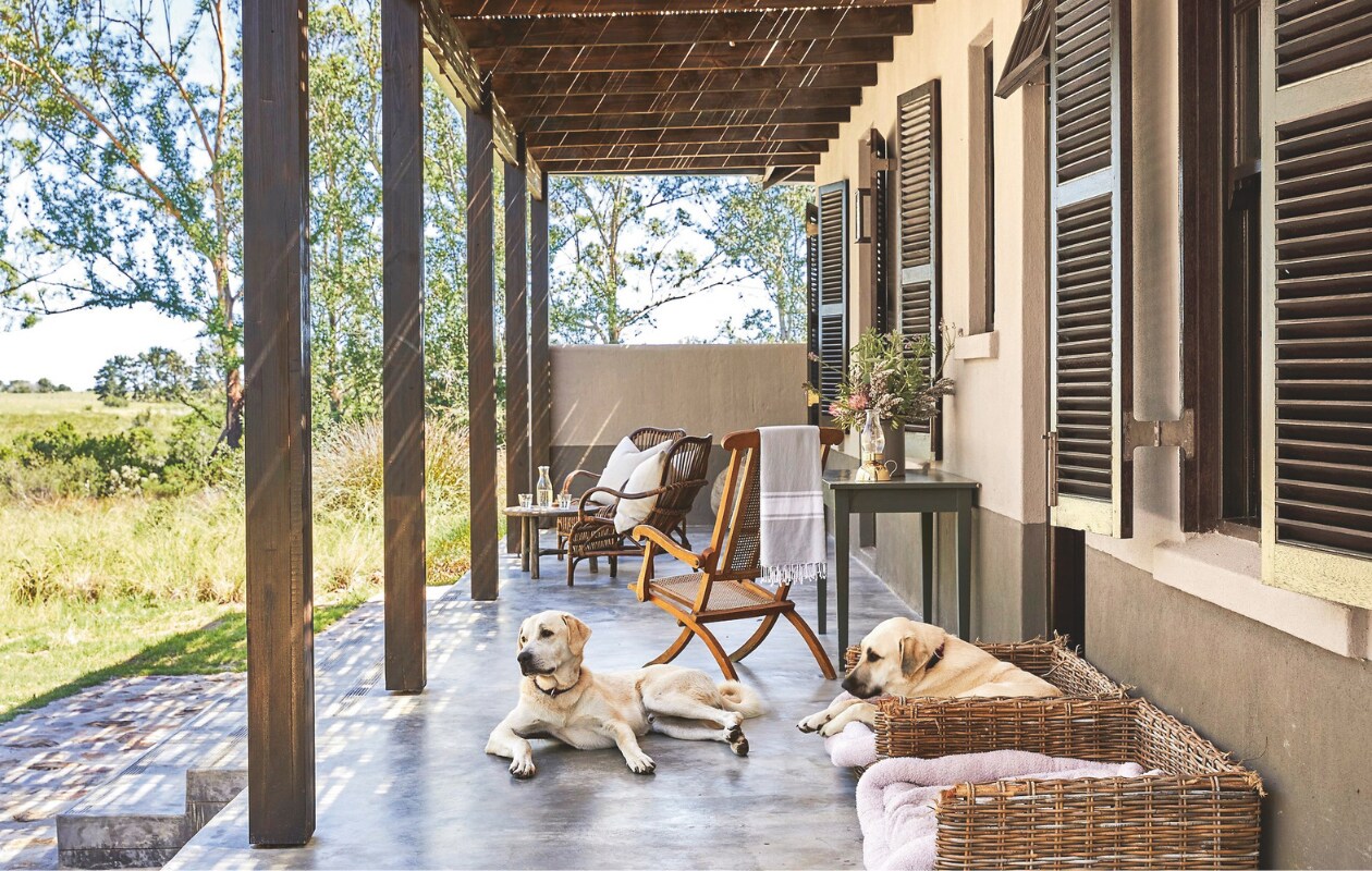 De kleinere veranda bij Nguni Cottage biedt een eindeloos uitzicht. Anatolische herdershonden Sirius en Luna zoeken hier verkoeling op de betonnen vloer tijdens het heetste moment van de dag. Soortgelijke hondenmand Rivièra Maison. vtwonen landelijk 02-2025 | Styling Luanne Toms | Fotografie Elsa Young | Tekstbewerking Mirjam Rosema-Verhulst