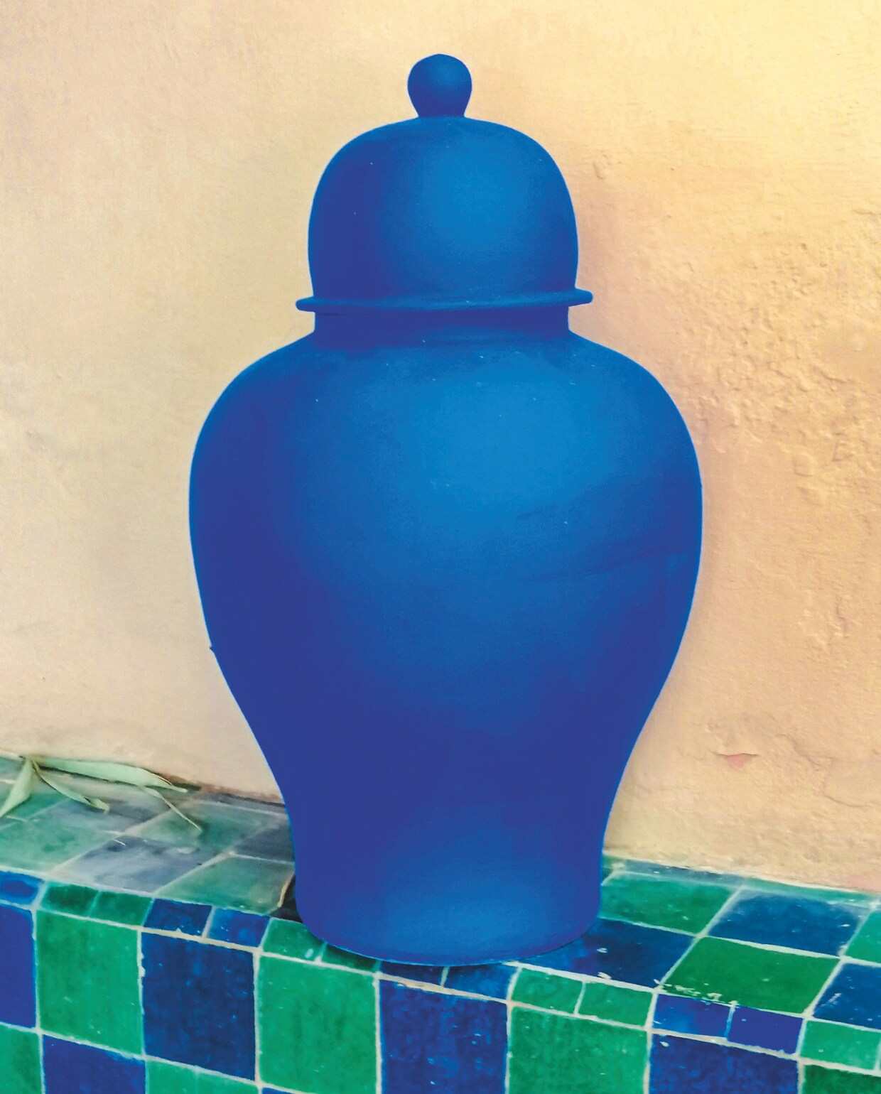 Jardin Majorelle, een botanische tuin van ruim 9000 m² in Marrakech, Marokko. vtwonen 4-2025 | fotografie Pauline Egge, Getty Images, Flory Hartog