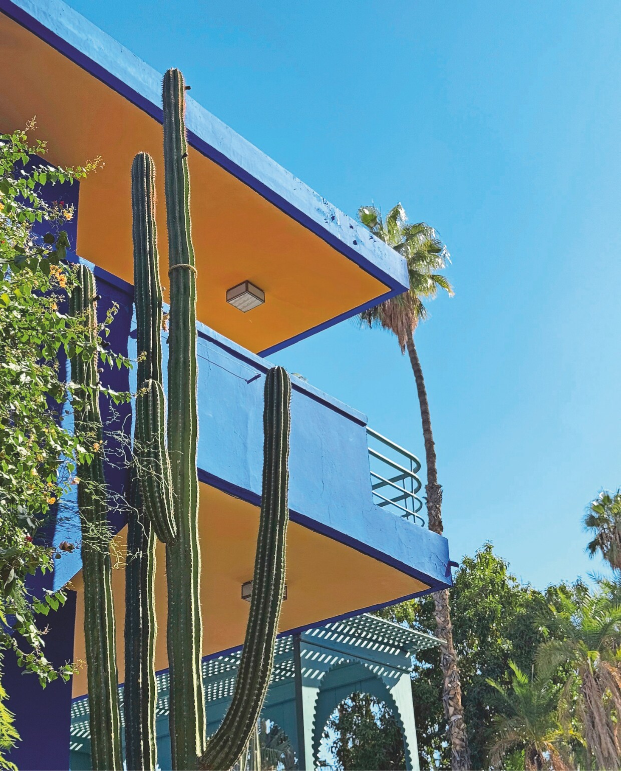 Jardin Majorelle, een botanische tuin van ruim 9000 m² in Marrakech, Marokko. vtwonen 4-2025 | fotografie Pauline Egge, Getty Images, Flory Hartog