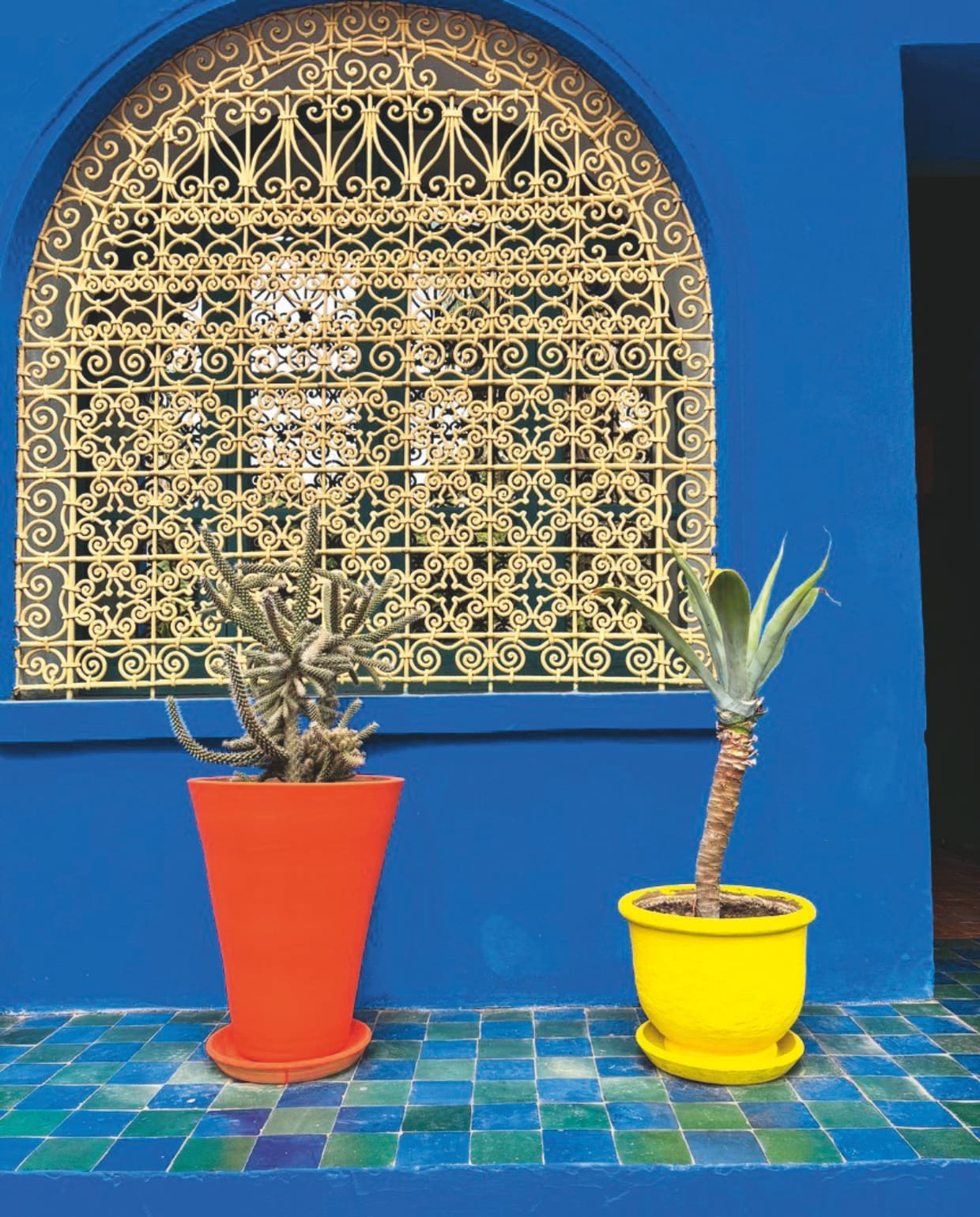 Jardin Majorelle, een botanische tuin van ruim 9000 m² in Marrakech, Marokko. vtwonen 4-2025 | fotografie Pauline Egge, Getty Images, Flory Hartog