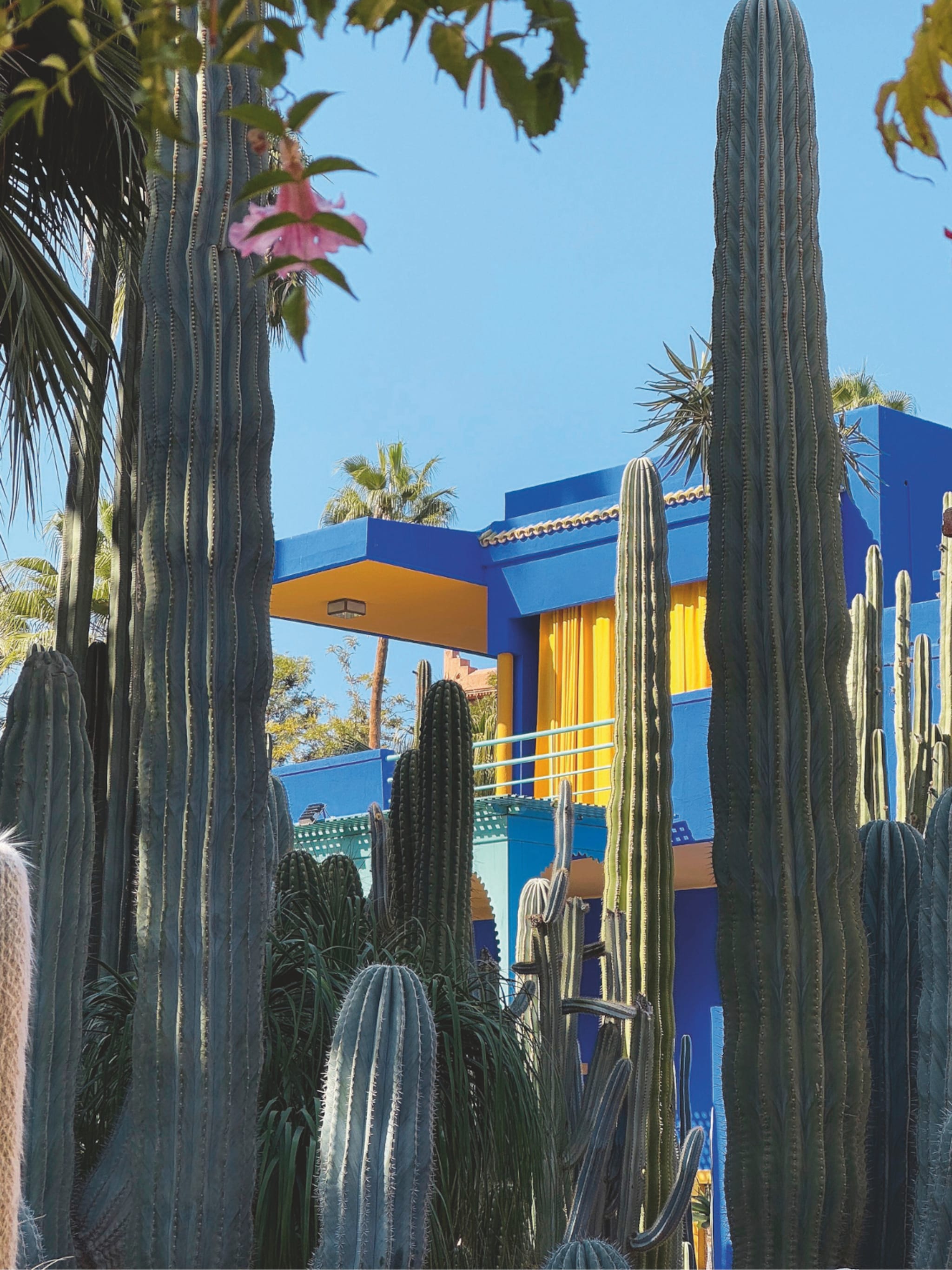 wowfactor botanische tuin jardin majorelle marrakech