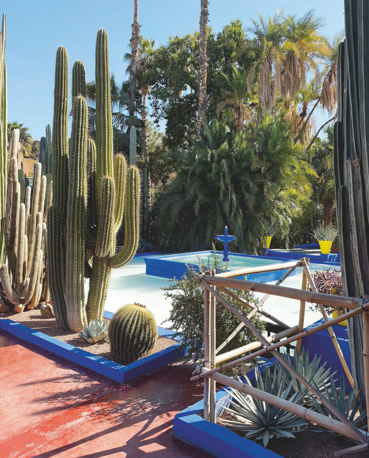Jardin Majorelle, een botanische tuin van ruim 9000 m² in Marrakech, Marokko. vtwonen 4-2025 | fotografie Pauline Egge, Getty Images, Flory Hartog