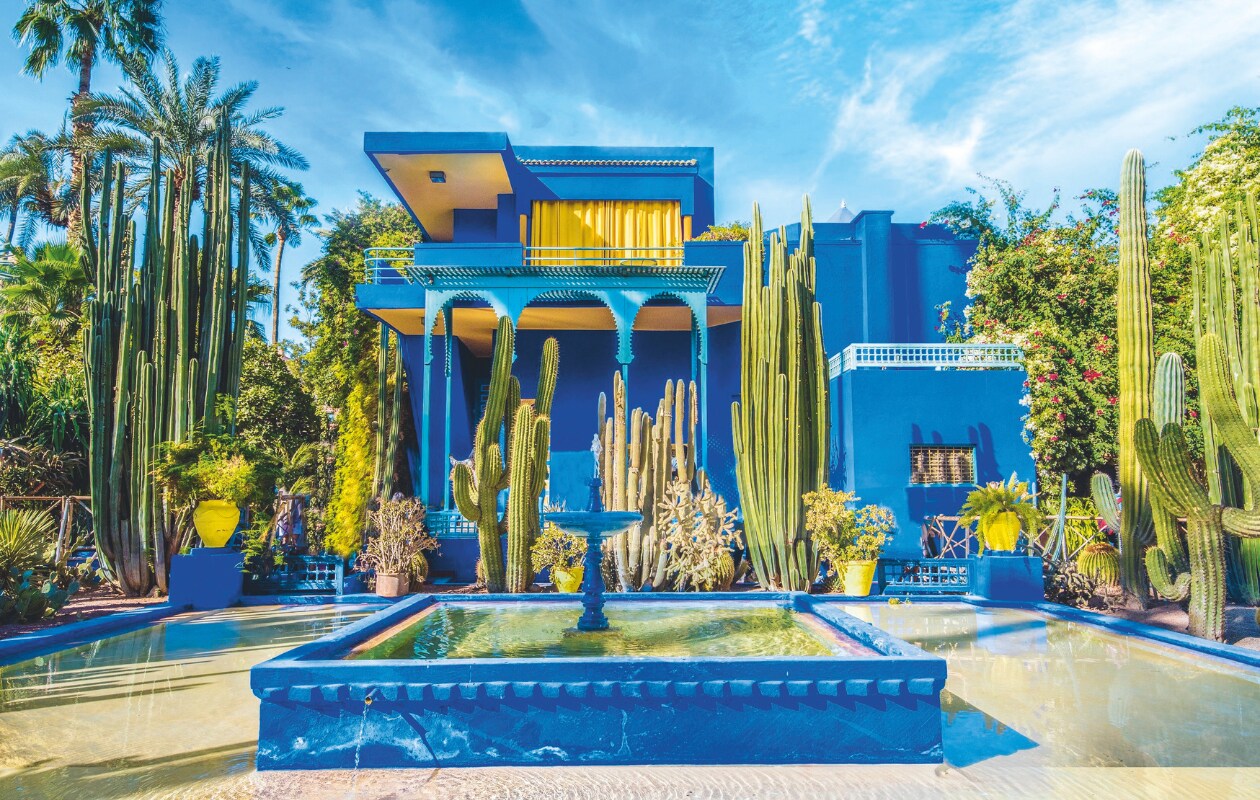 Jardin Majorelle, een botanische tuin van ruim 9000 m² in Marrakech, Marokko. vtwonen 4-2025 | fotografie Pauline Egge, Getty Images, Flory Hartog