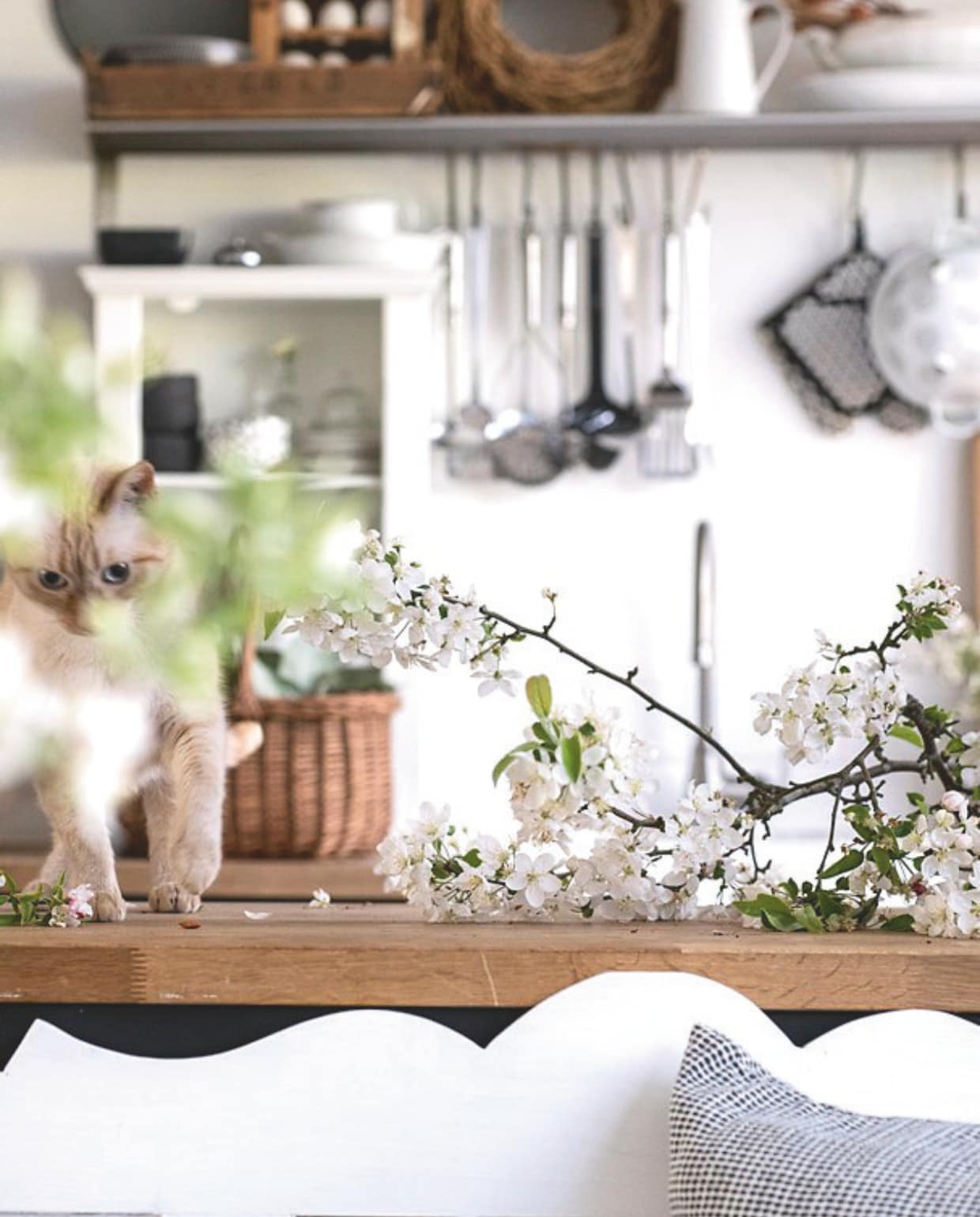 Bloesemtak uit de tuin. vtwonen Landelijk 03-2025 | Styling Janneke Peters, Marit Saladini | Fotografie Louis Lemaire | Tekst Britte Kramer
