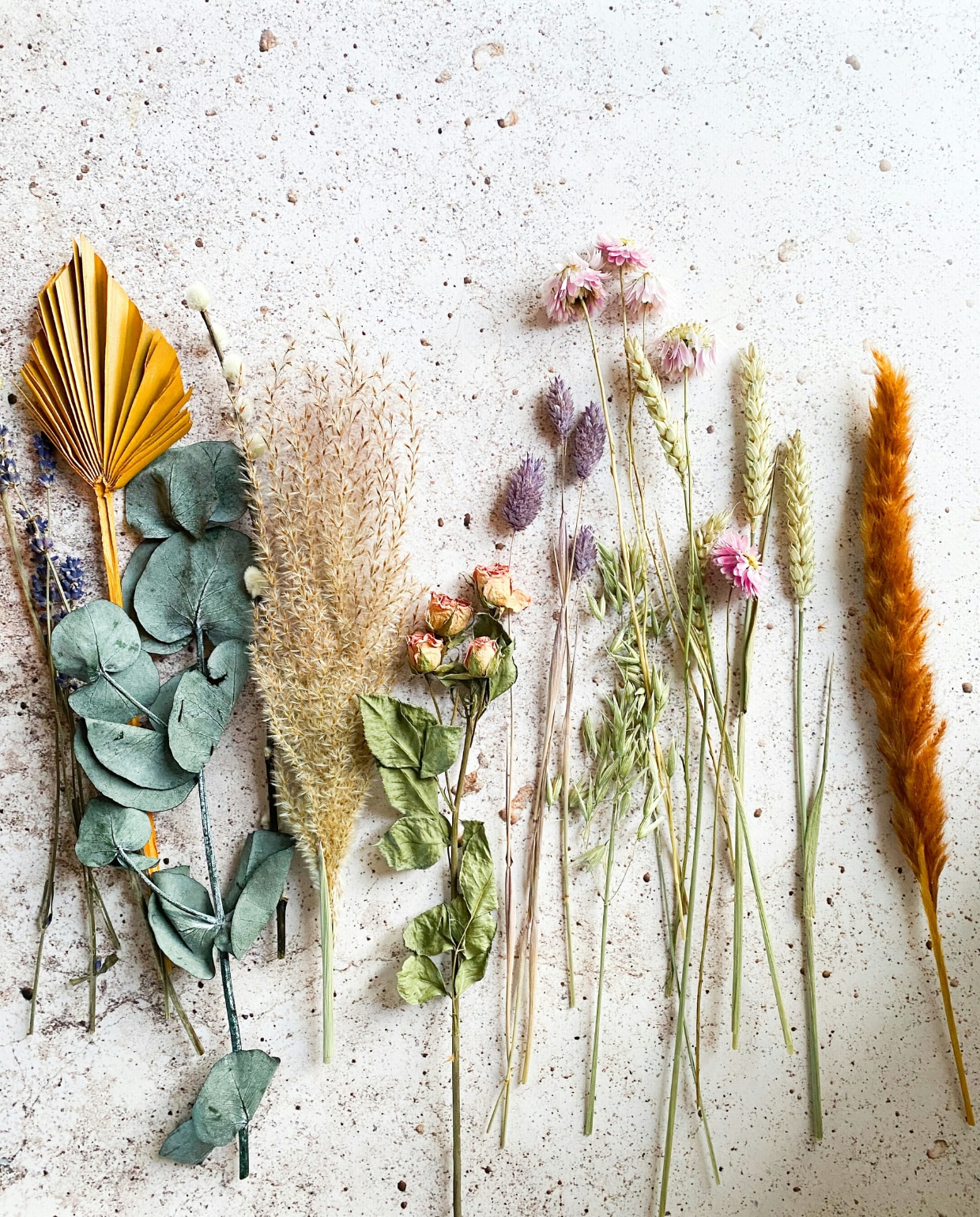 droogbloemen Unsplash