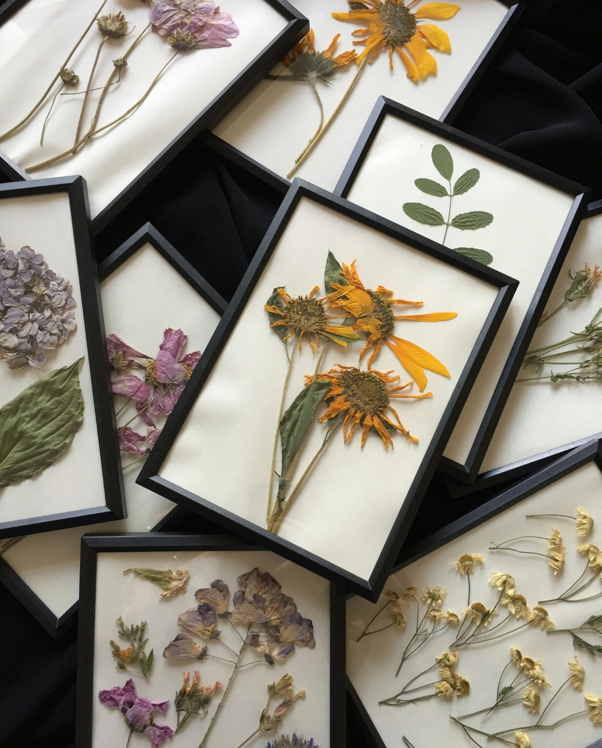 Droogbloemen in lijst Pexels