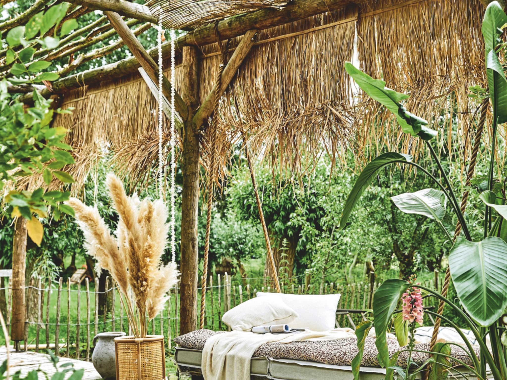tropische tuin nederland planten