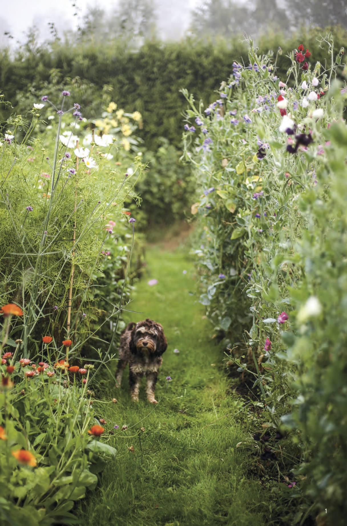 Beeld vtwonen landelijk 07-2025 vtwonen Landelijk 07-2025 | Hoofduitgeverij Terra