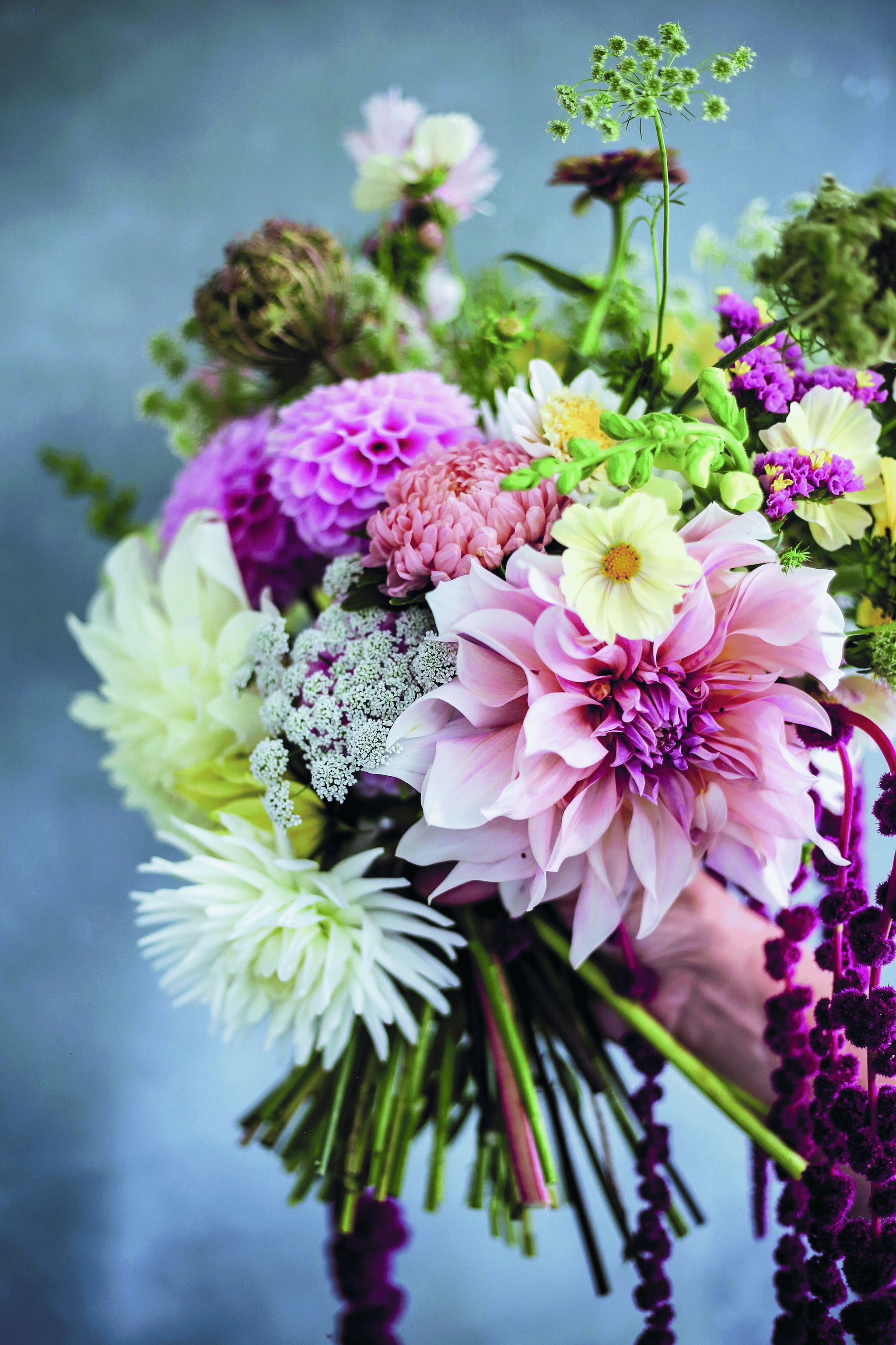 Beeld vtwonen landelijk 07-2025 vtwonen Landelijk 07-2025 | Hoofduitgeverij Terra