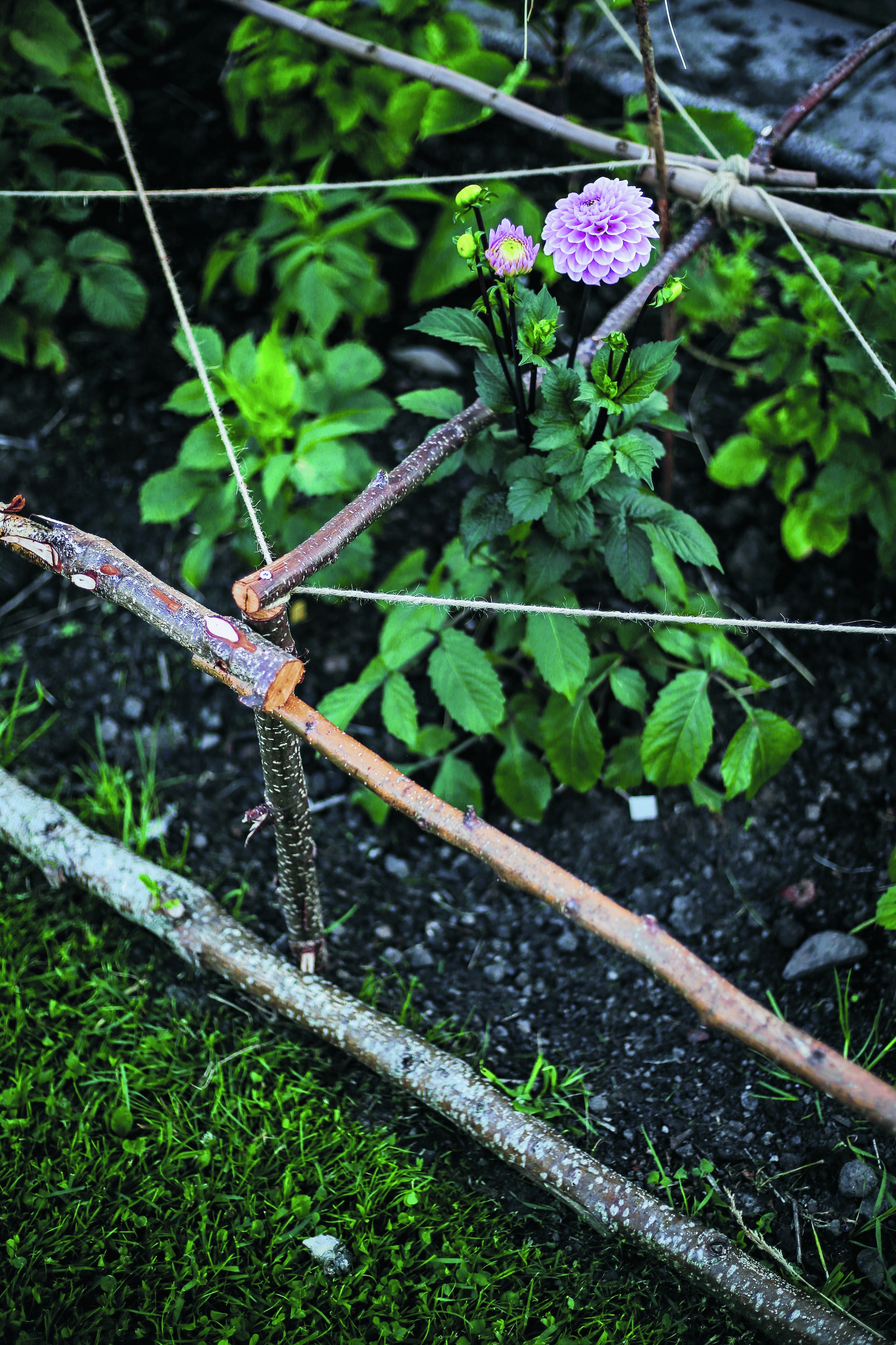 Beeld vtwonen landelijk 07-2025 vtwonen Landelijk 07-2025 | Hoofduitgeverij Terra