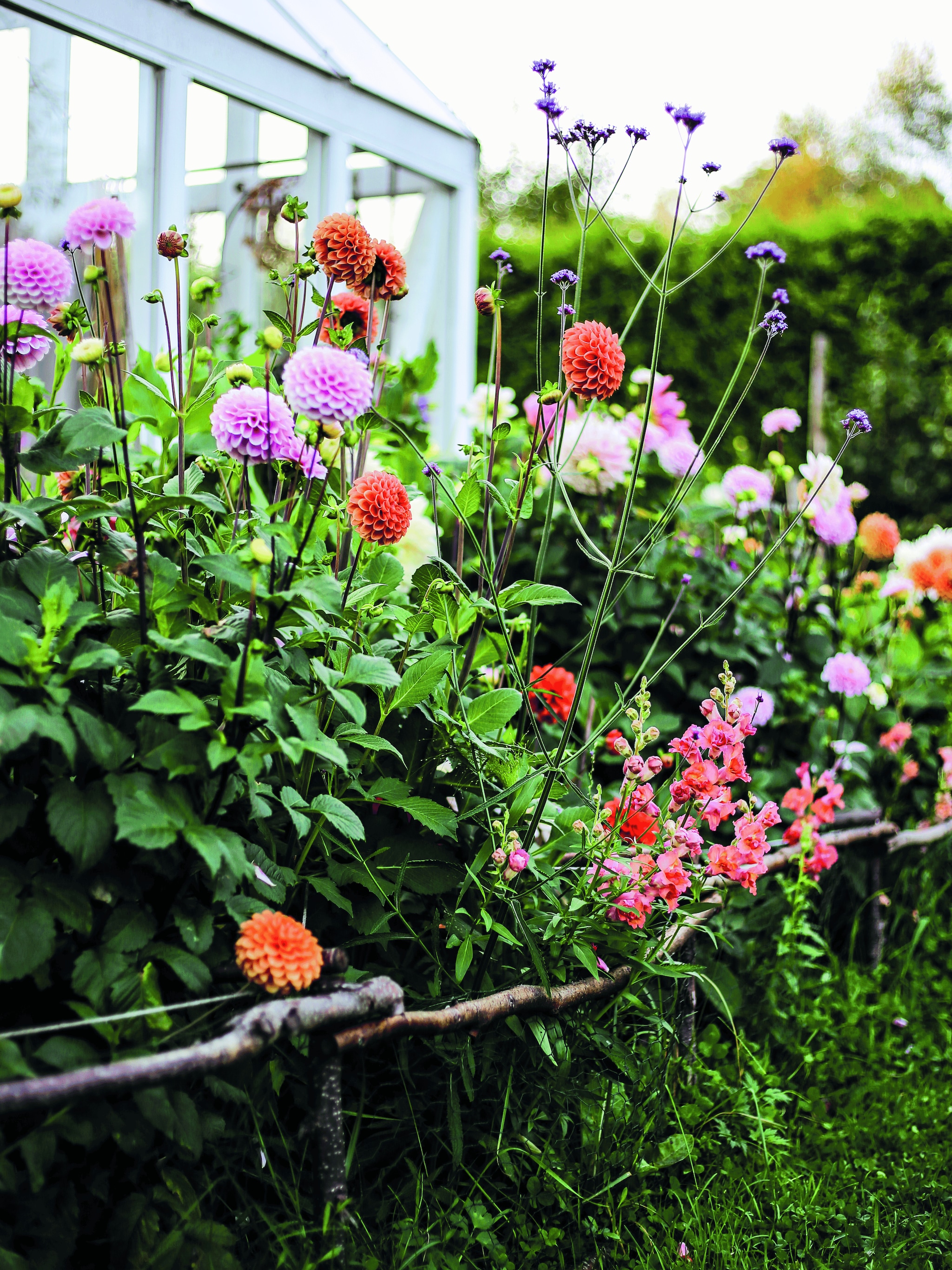 puur plukgeluk win een boek vol bloementips