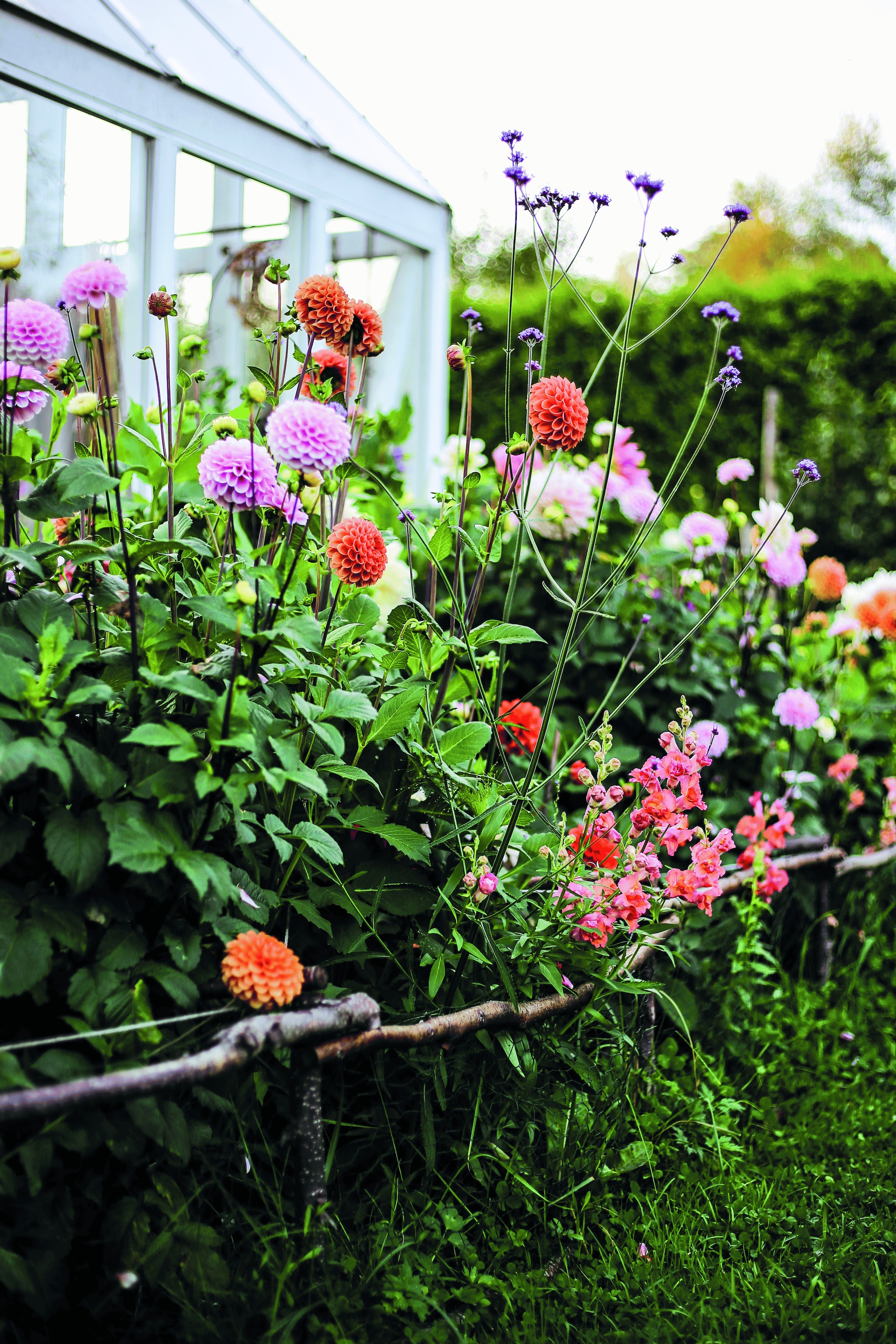 Beeld vtwonen landelijk 07-2025 vtwonen Landelijk 07-2025 | Hoofduitgeverij Terra