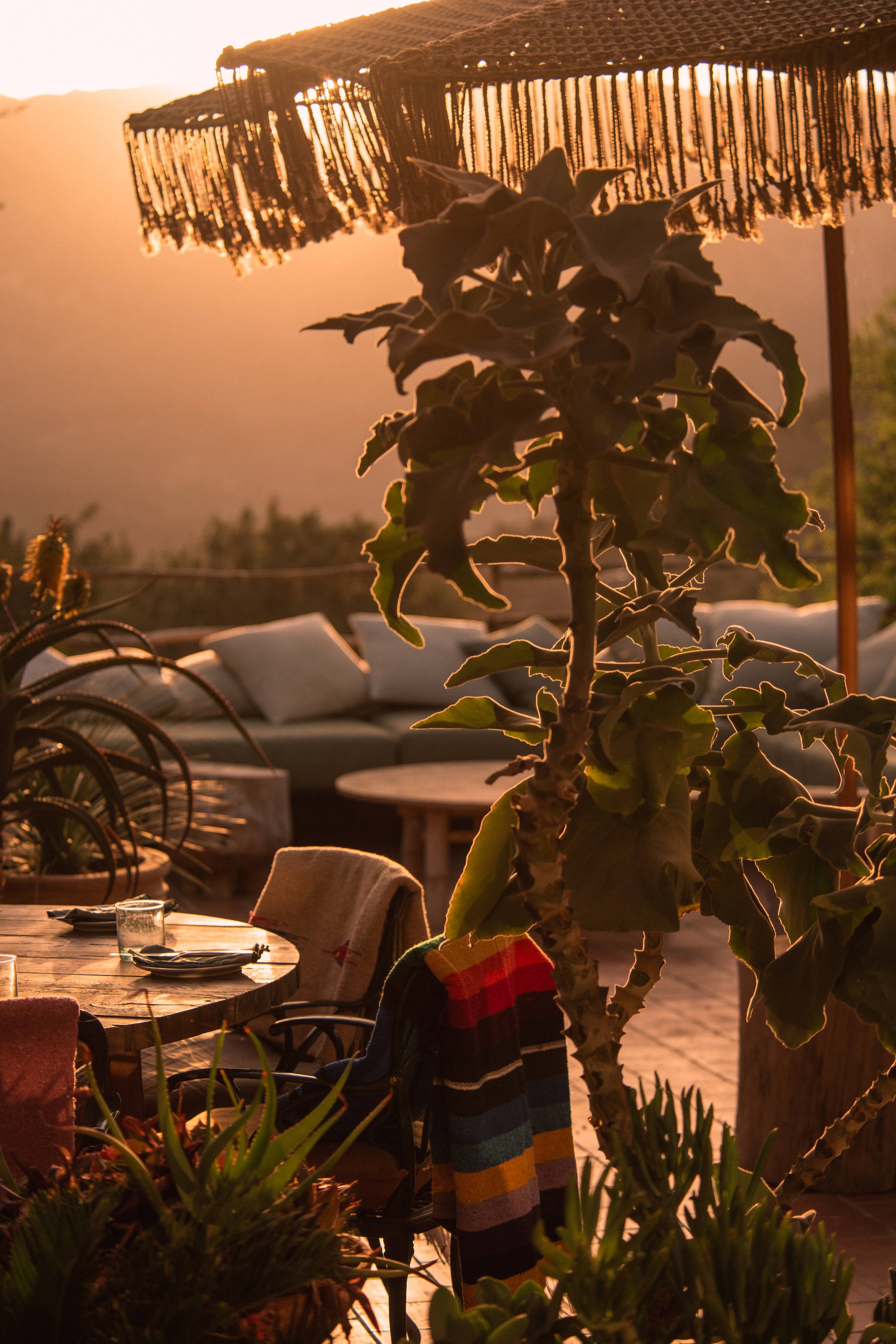 Wooninspiratie met een wowfactor in vtwonen 07-2025: Hotel Corazón op Mallorca. vtwonen 07-2025 | fotografie Kate Bellm