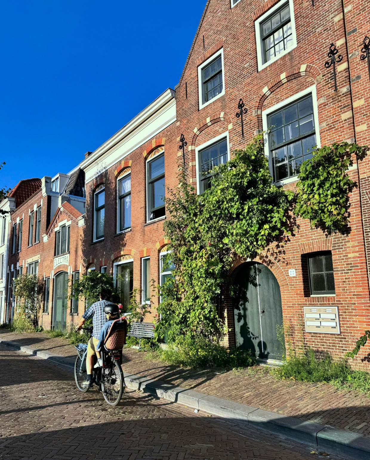 Klimop tegen de gevel van een huis. Pexels | fotografie Tuba Din
