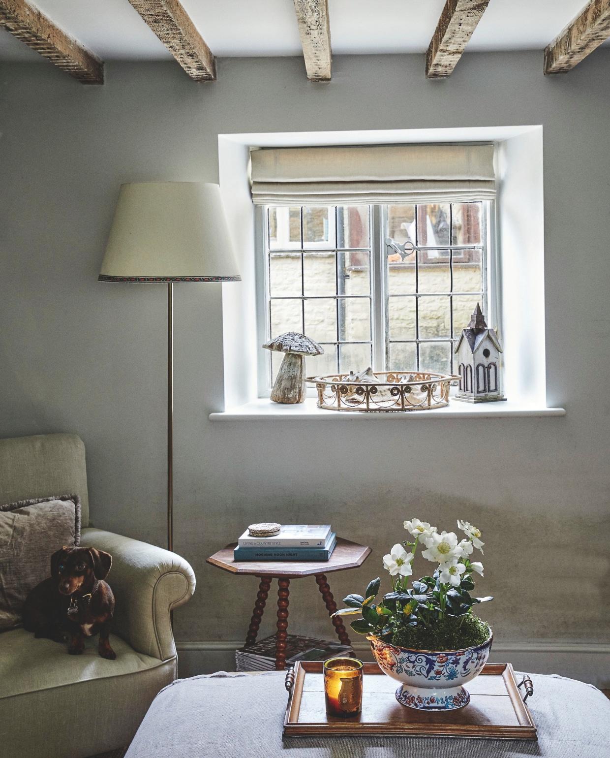 Hond Juno in een oude fauteuil. Salontafel Oliver Bonas. Decoratie Article 3 Interiors. Muurverf Alabaster van Fired Earth. vtwonen Landelijk 9-2025 | fotografie Brent Darby | tekstbewerking Anneleen Peeters